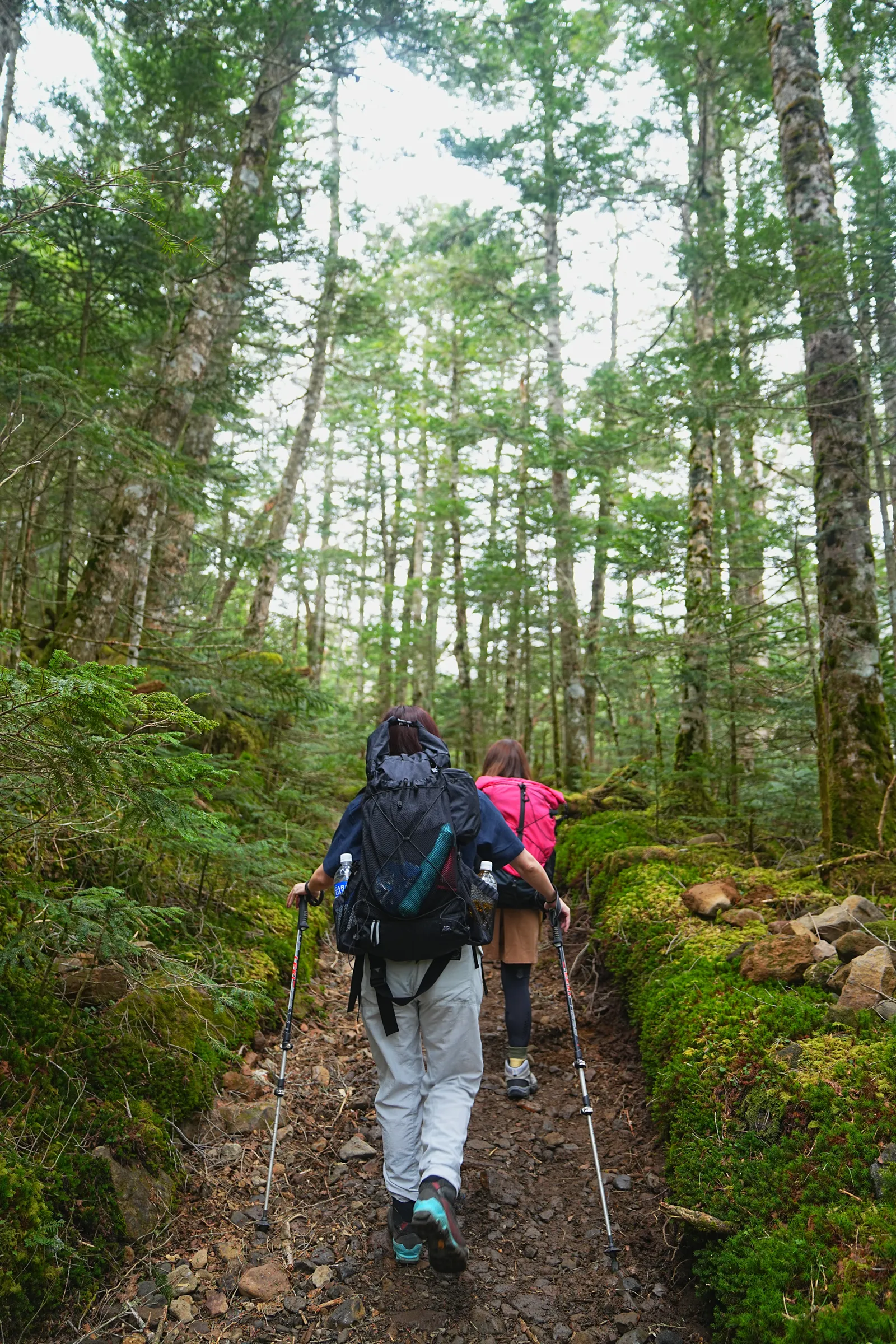 八ヶ岳 根石岳山荘・宿泊レポート