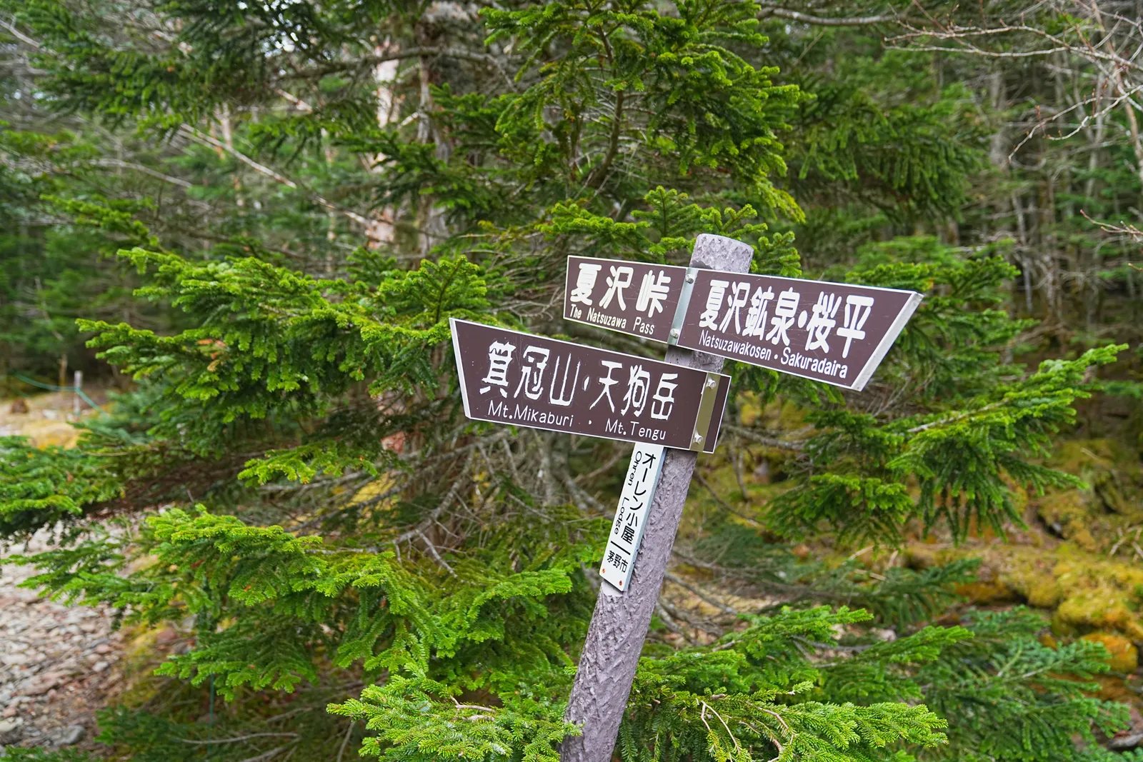 八ヶ岳 根石岳山荘・宿泊レポート