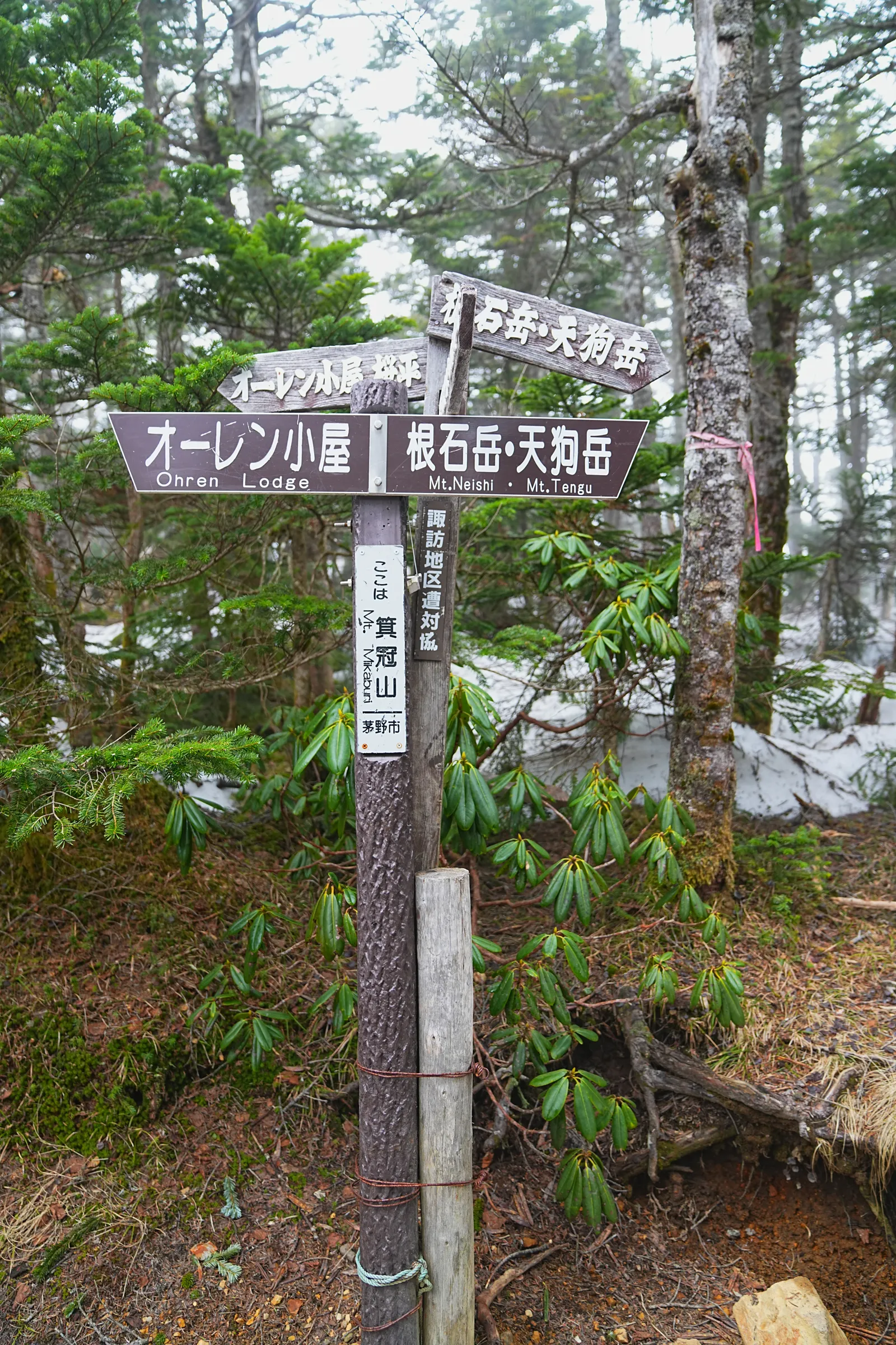 八ヶ岳 根石岳山荘・宿泊レポート
