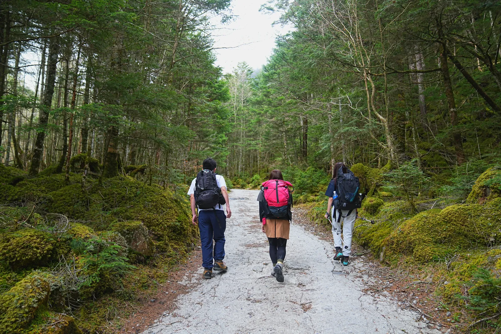 八ヶ岳 根石岳山荘・宿泊レポート