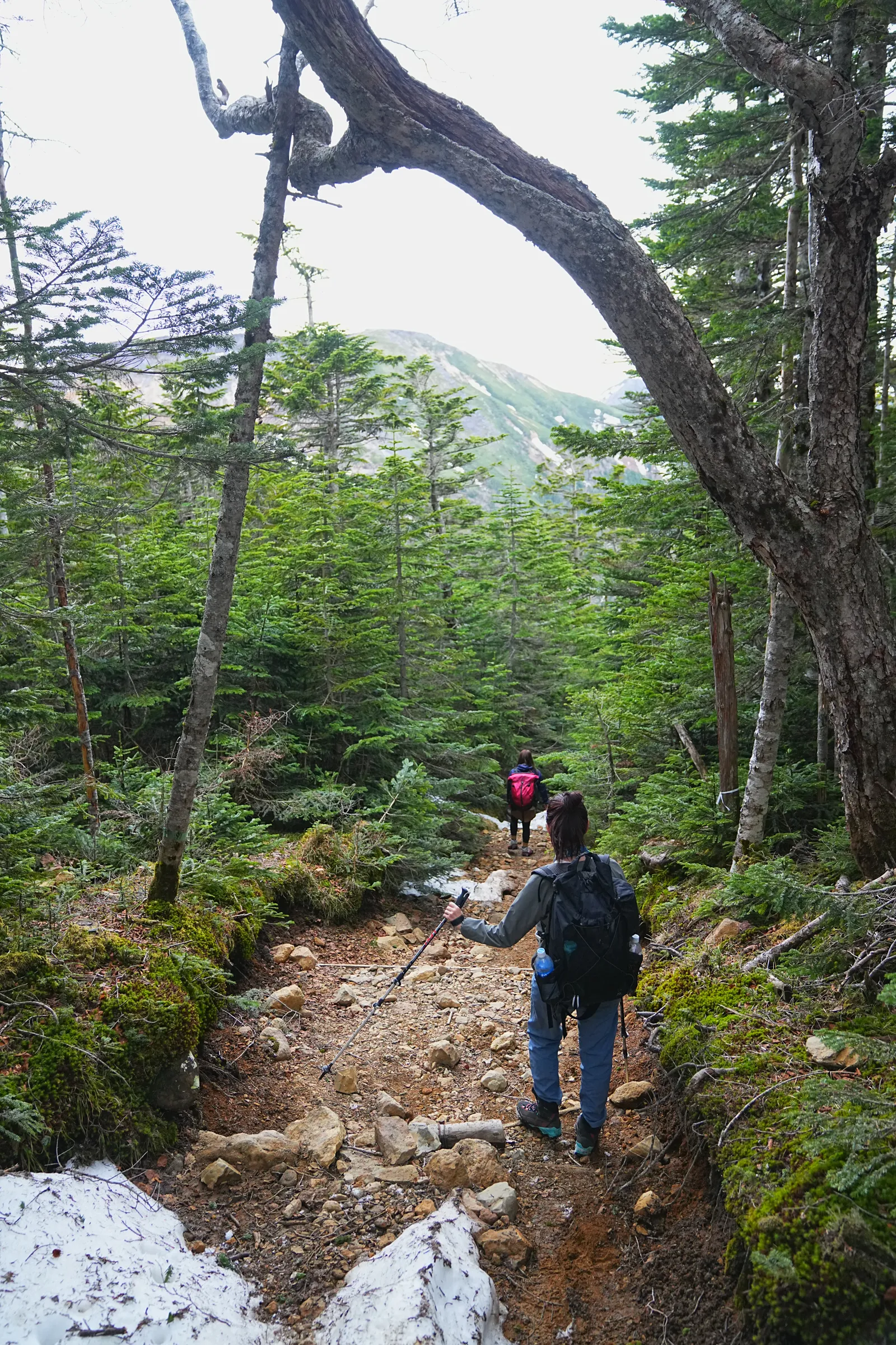 八ヶ岳 根石岳山荘・宿泊レポート
