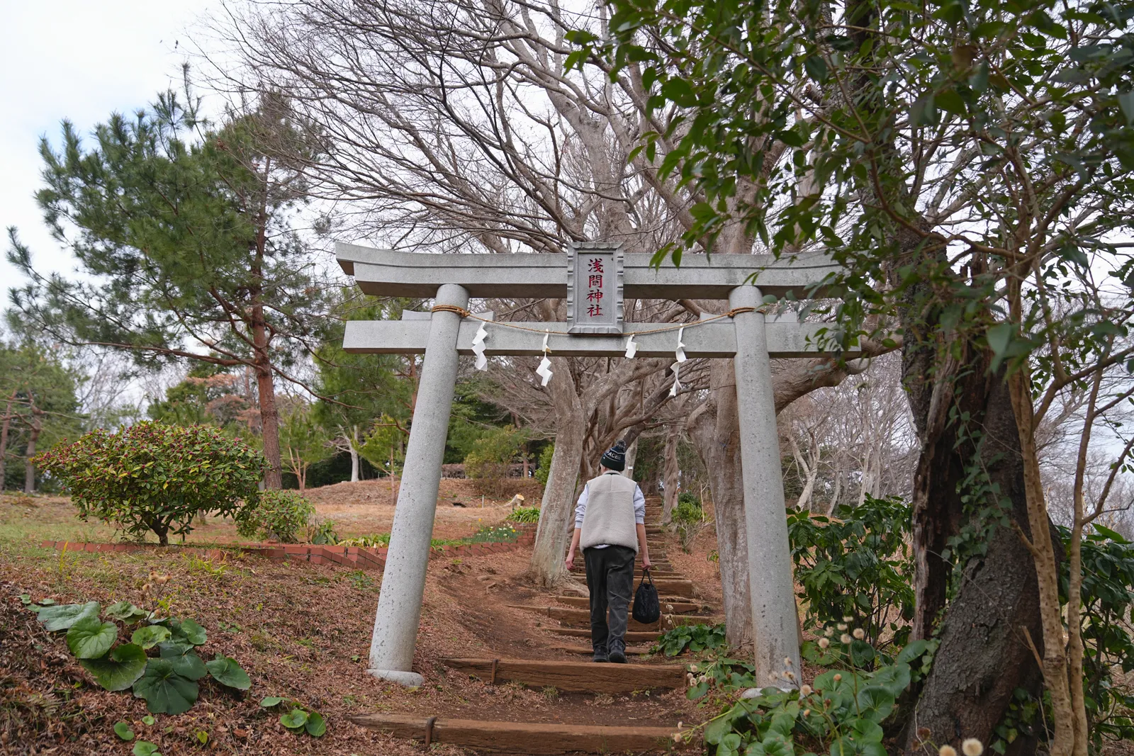 菜の花と春を求めて、二宮の吾妻山公園へ