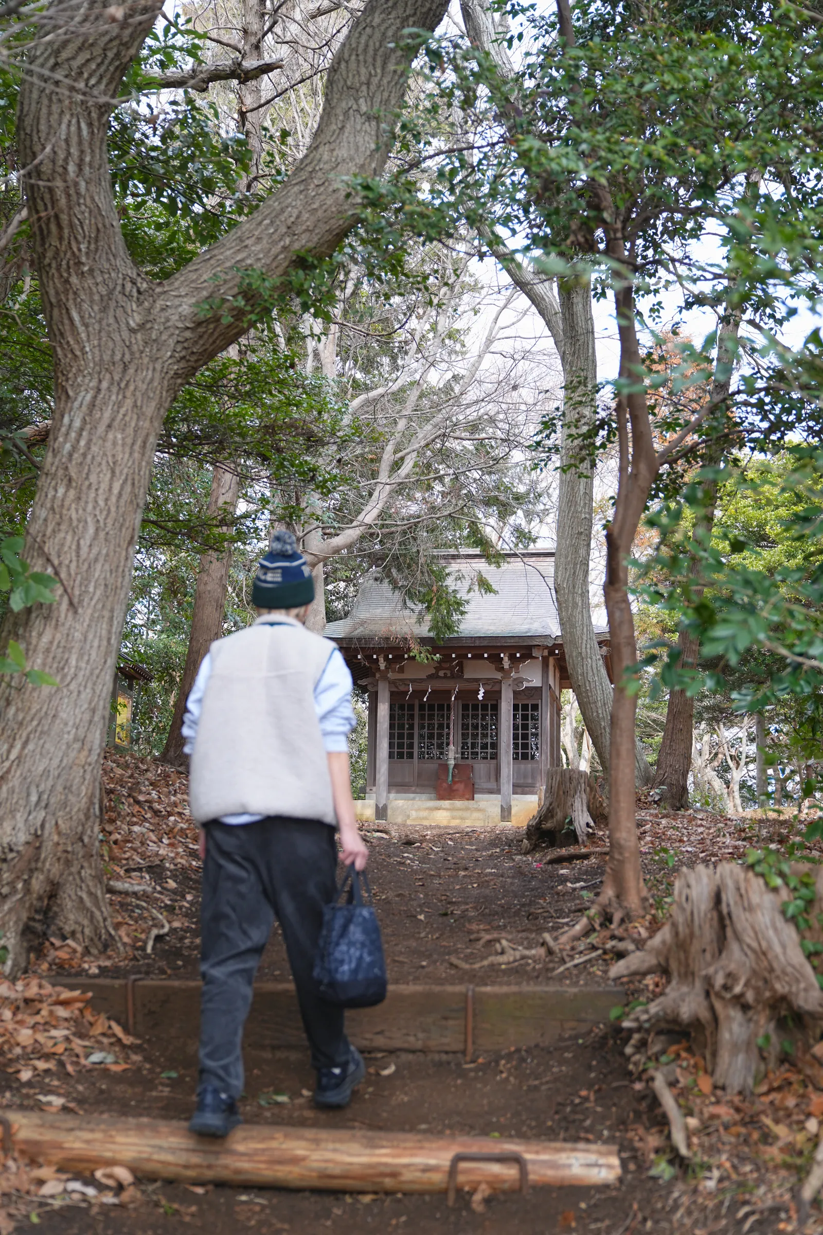 菜の花と春を求めて、二宮の吾妻山公園へ