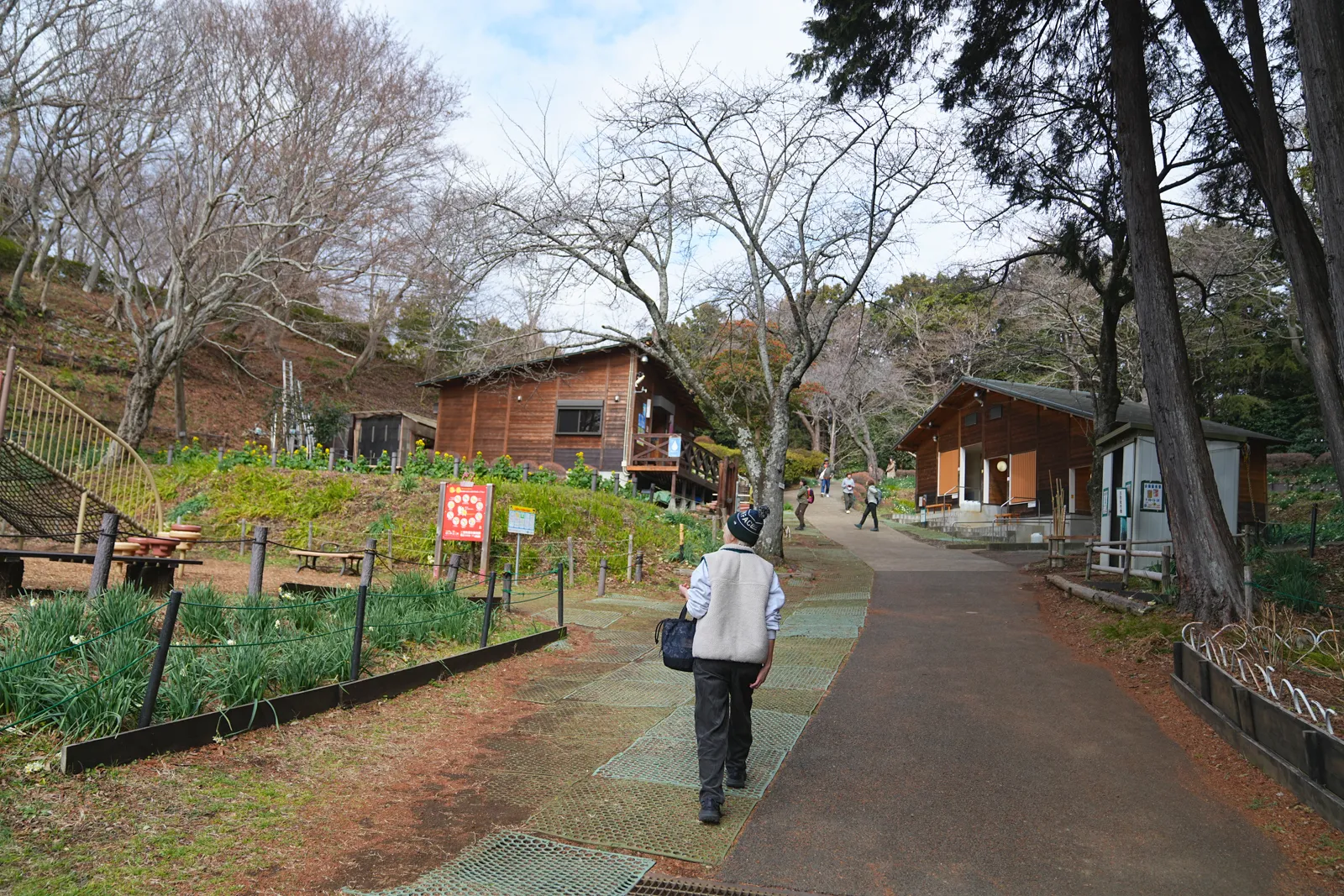菜の花と春を求めて、二宮の吾妻山公園へ