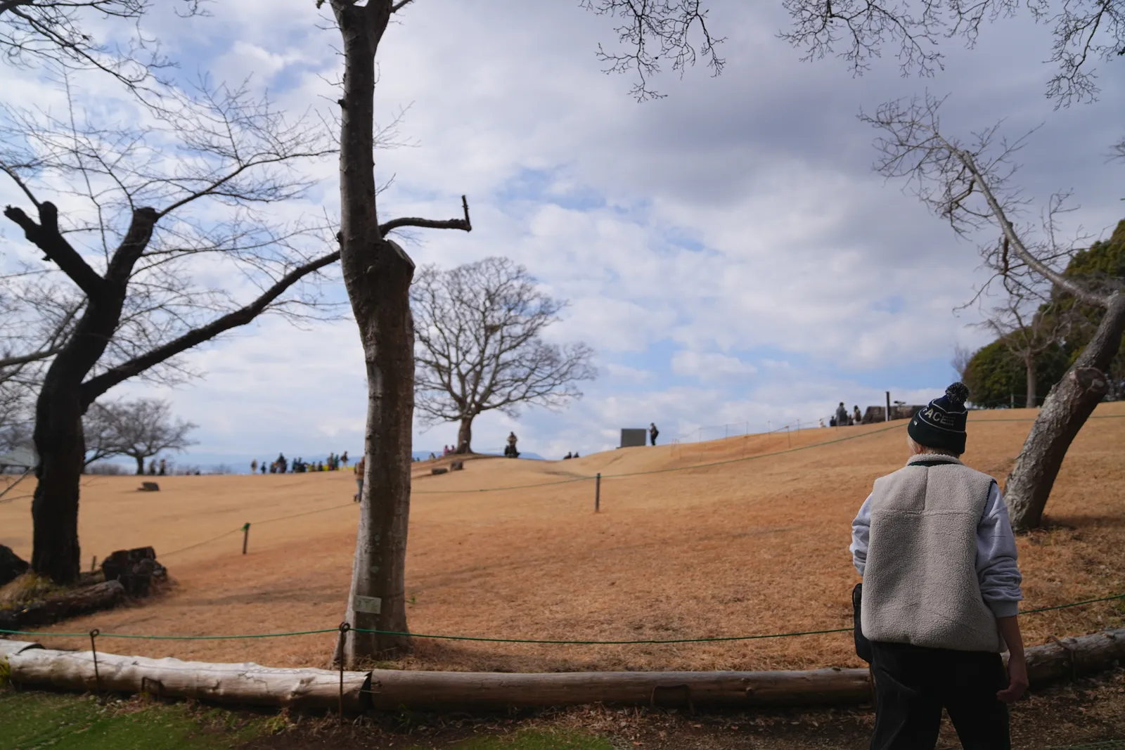 春の菜の花と春を求めて、湘南・二宮