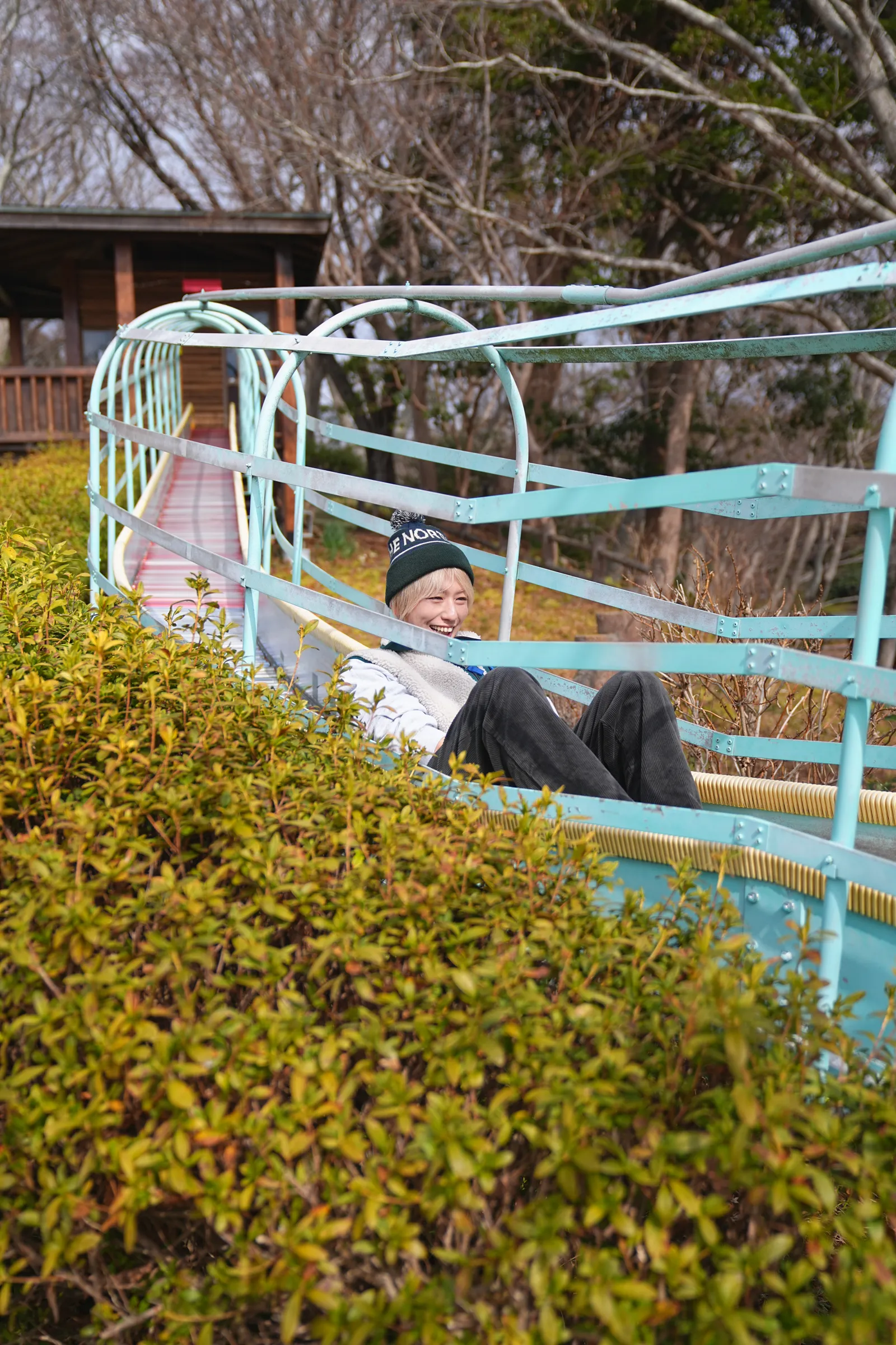 菜の花と春を求めて、二宮の吾妻山公園へ