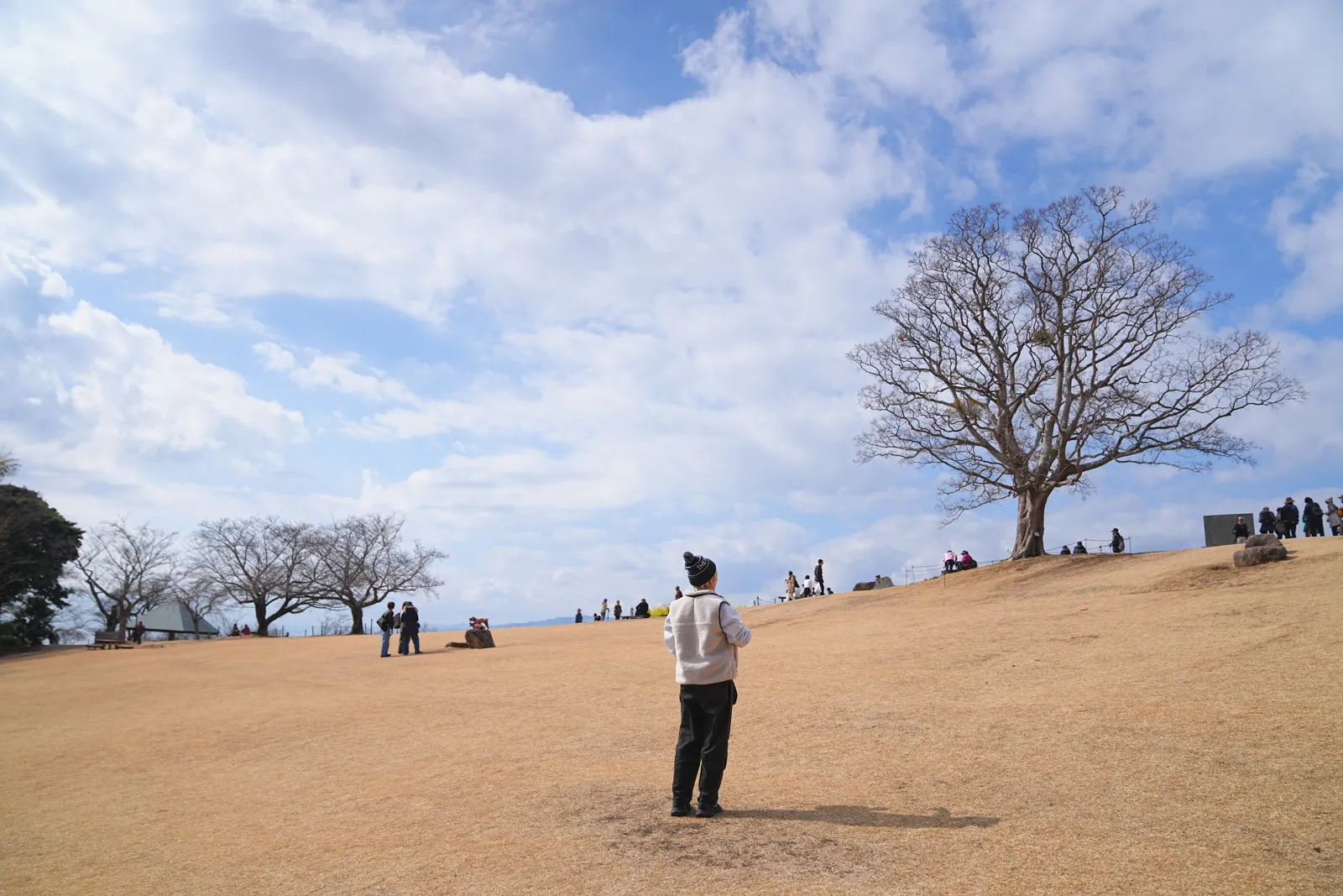 菜の花と春を求めて、二宮の吾妻山公園へ