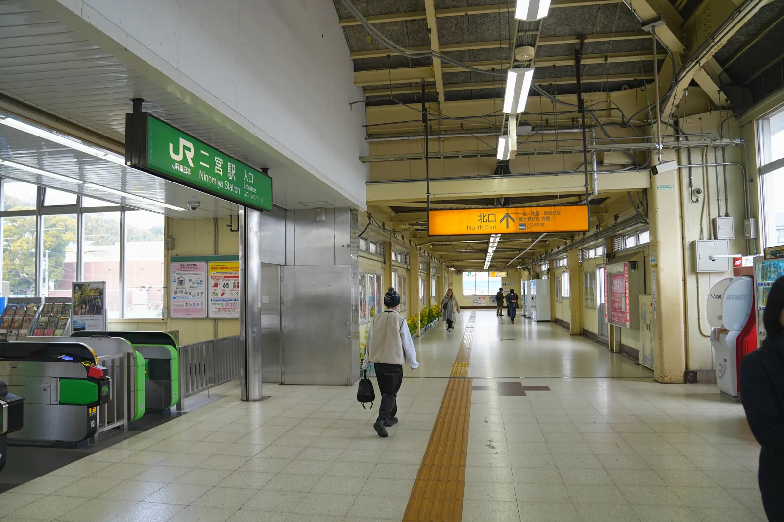 菜の花と春を求めて、二宮の吾妻山公園へ