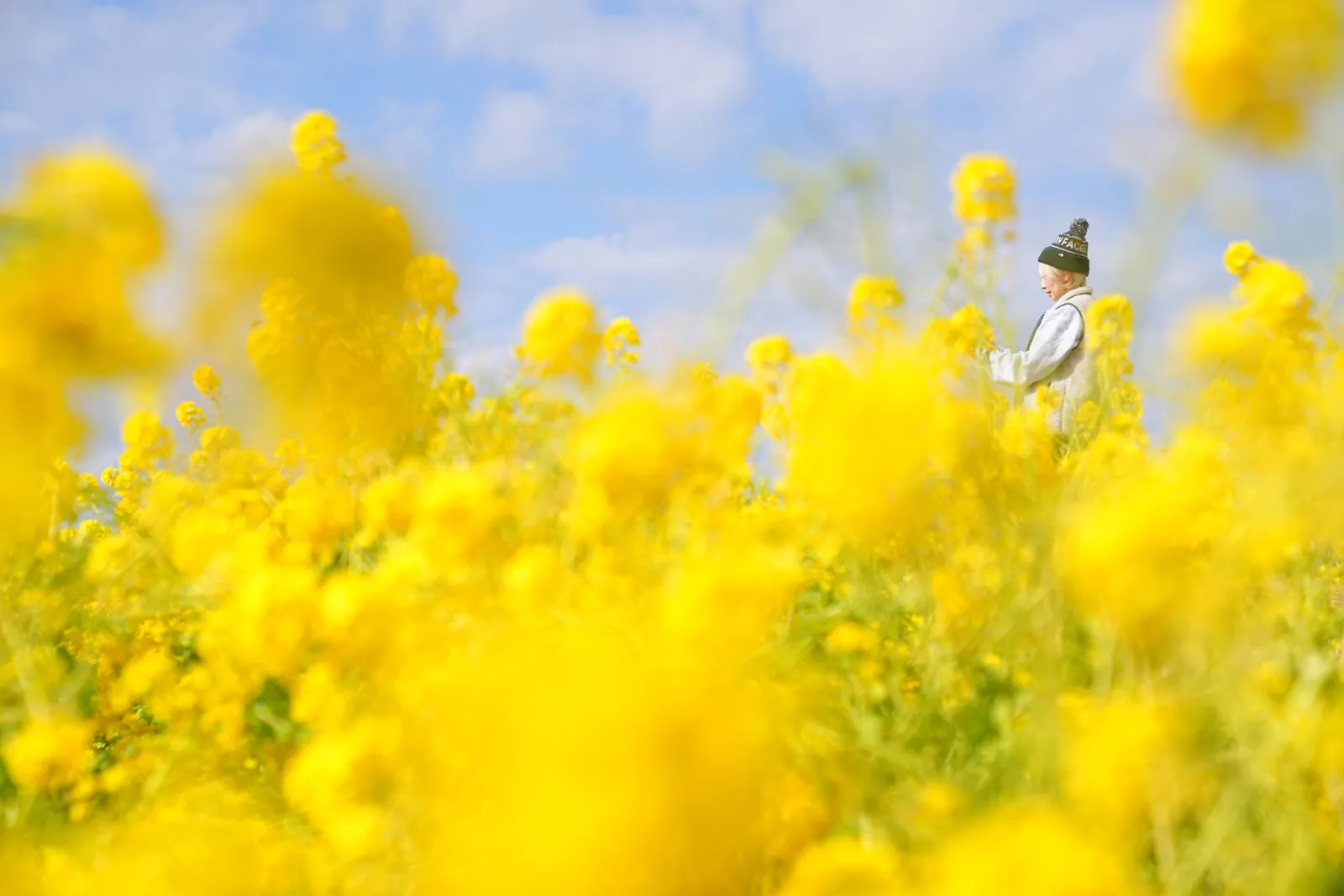 菜の花と春を求めて、二宮の吾妻山公園へ