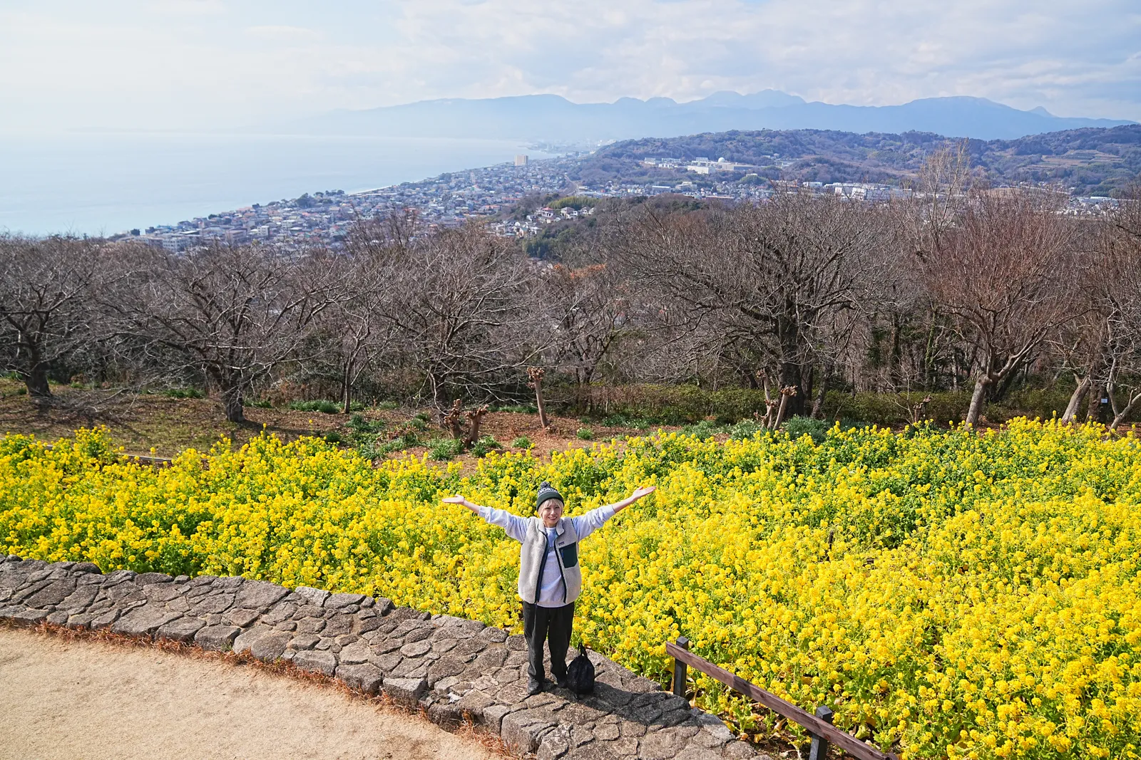 菜の花と春を求めて、二宮の吾妻山公園へ