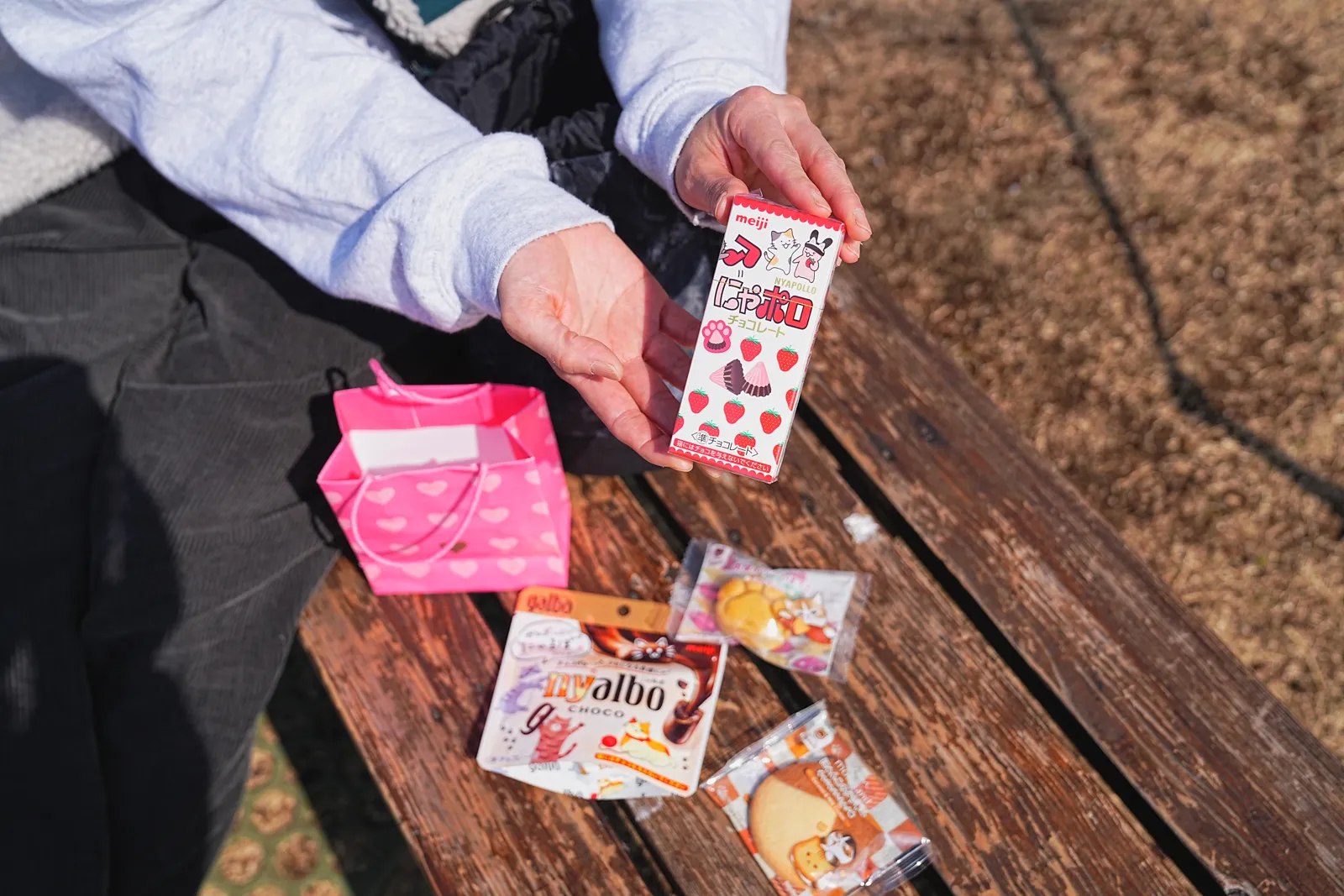 菜の花と春を求めて、二宮の吾妻山公園へ