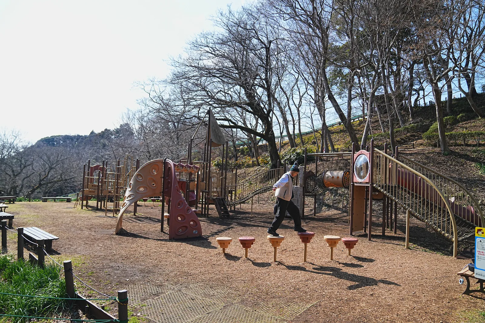 菜の花と春を求めて、二宮の吾妻山公園へ