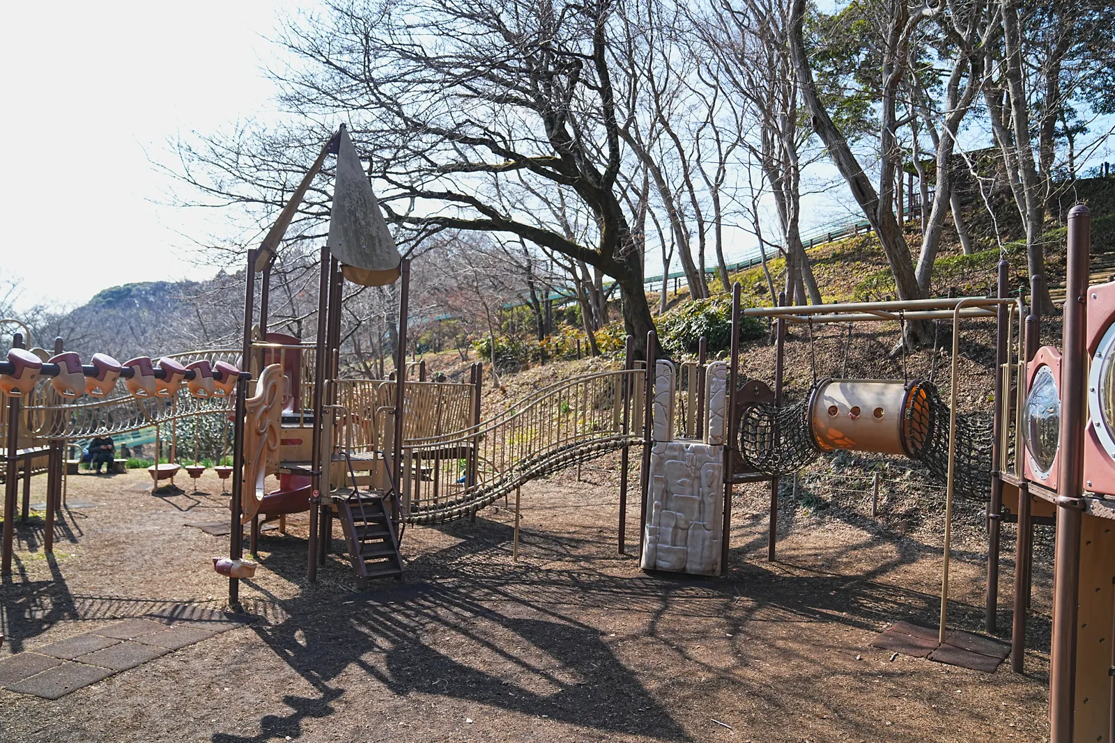 菜の花と春を求めて、二宮の吾妻山公園へ
