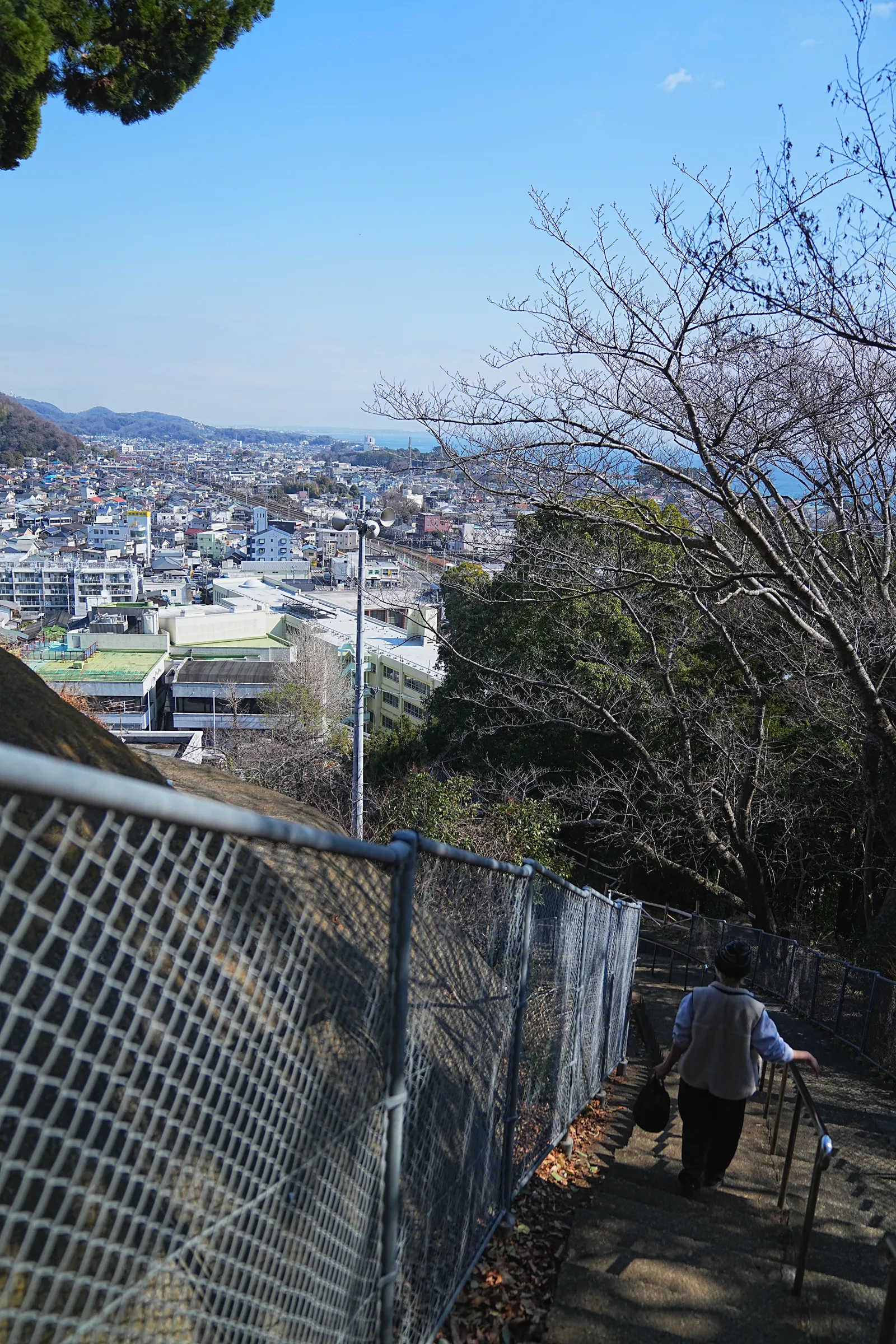 菜の花と春を求めて、二宮の吾妻山公園へ