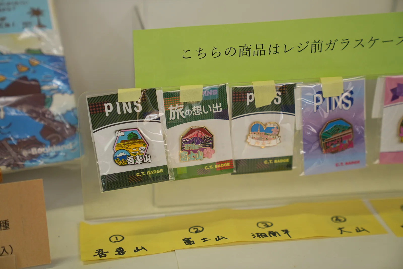 菜の花と春を求めて、二宮の吾妻山公園へ