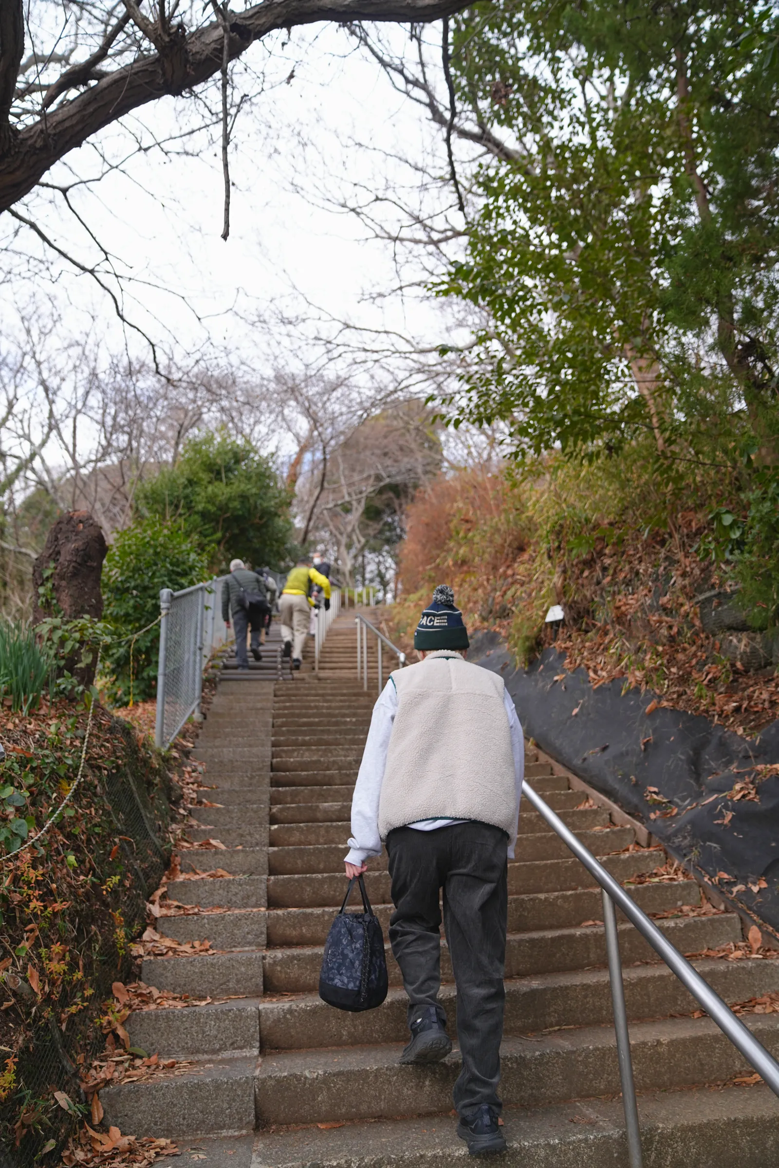 菜の花と春を求めて、二宮の吾妻山公園へ