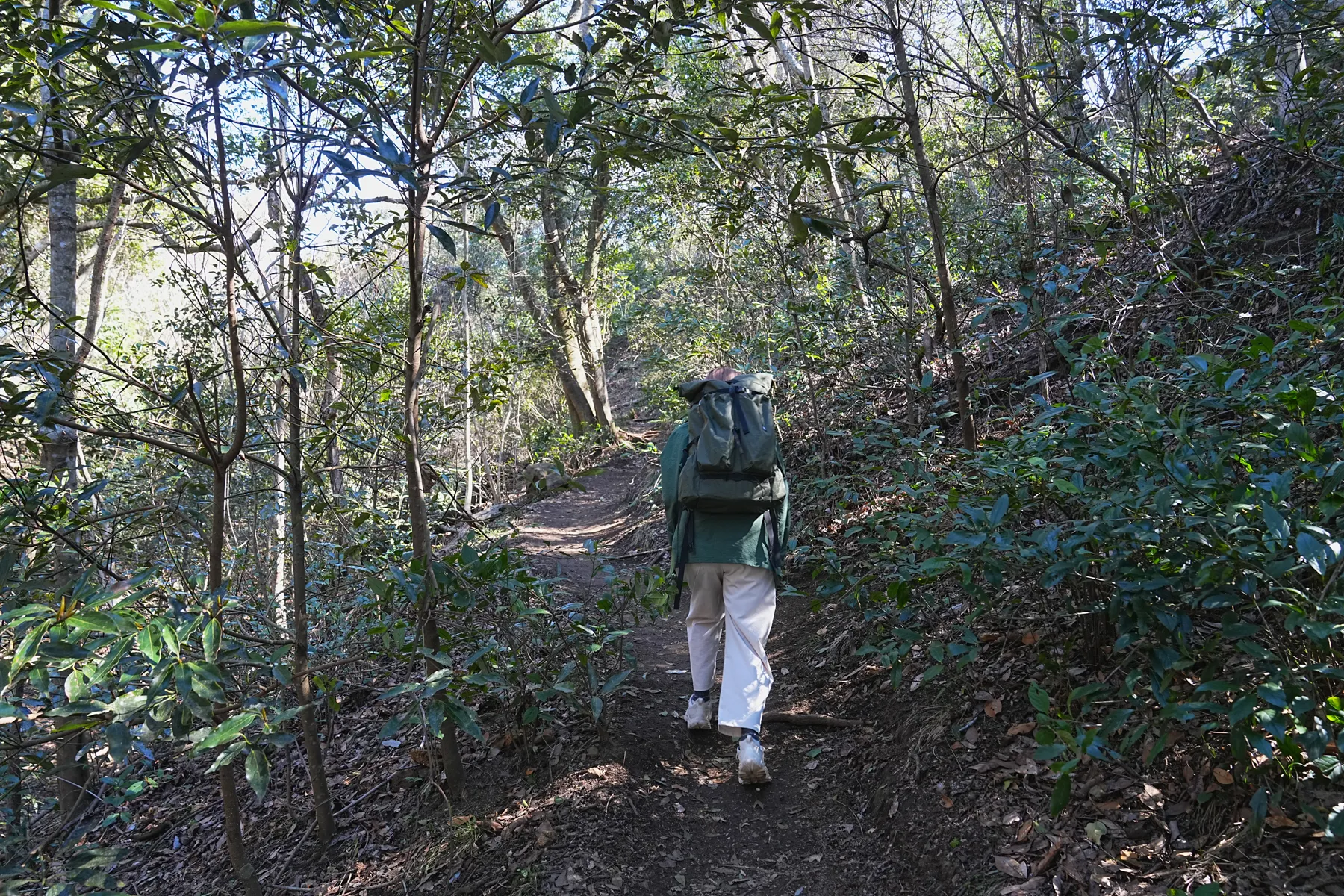 千葉県の人気の山「鋸山」のんびりハイキング