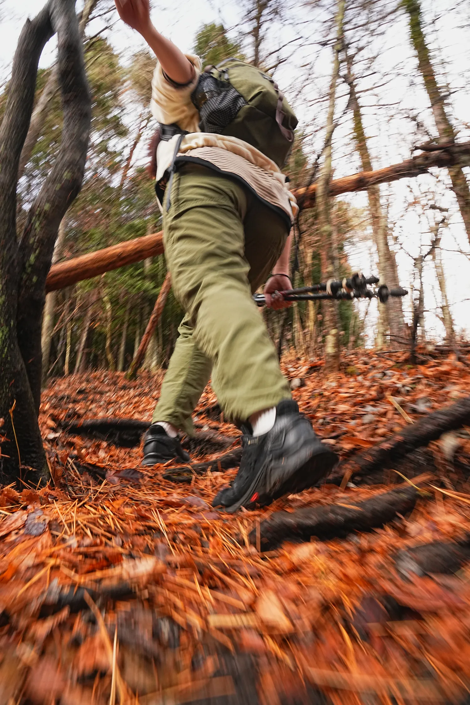 片道1時間で巨大な富士山！大平山を年末のんびりハイキング。