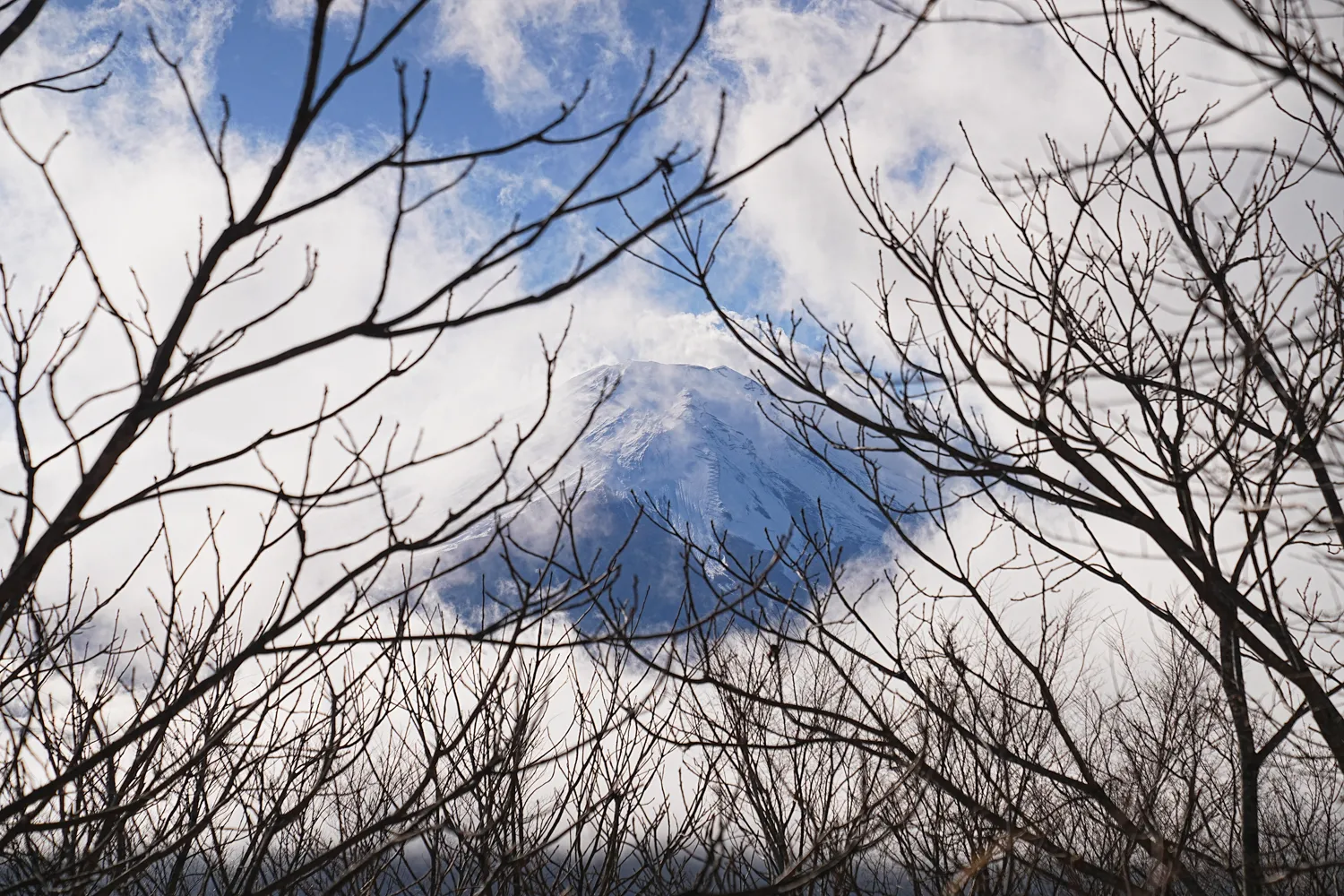 片道1時間で巨大な富士山！大平山を年末のんびりハイキング。