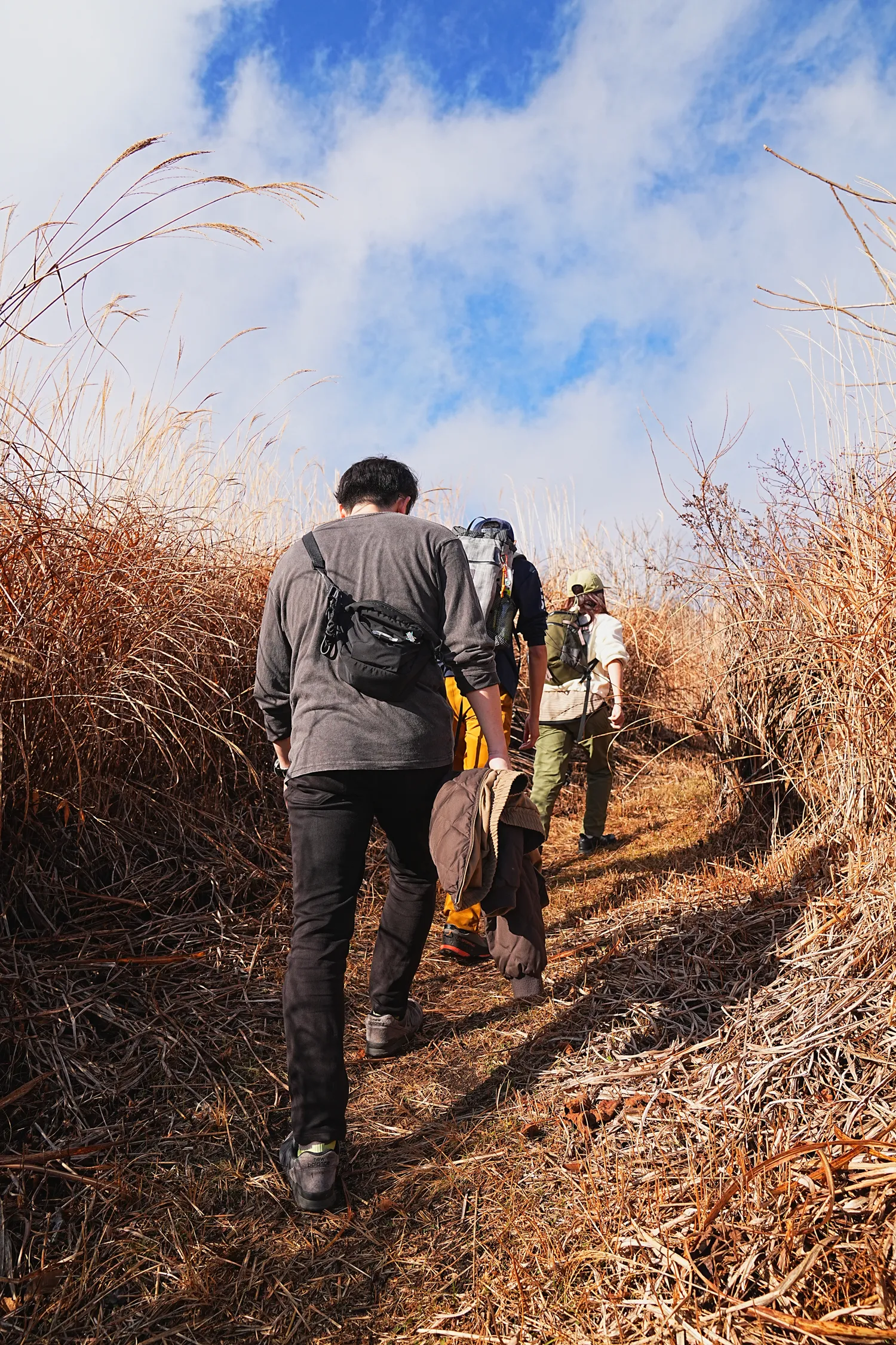 片道1時間で巨大な富士山！大平山を年末のんびりハイキング。