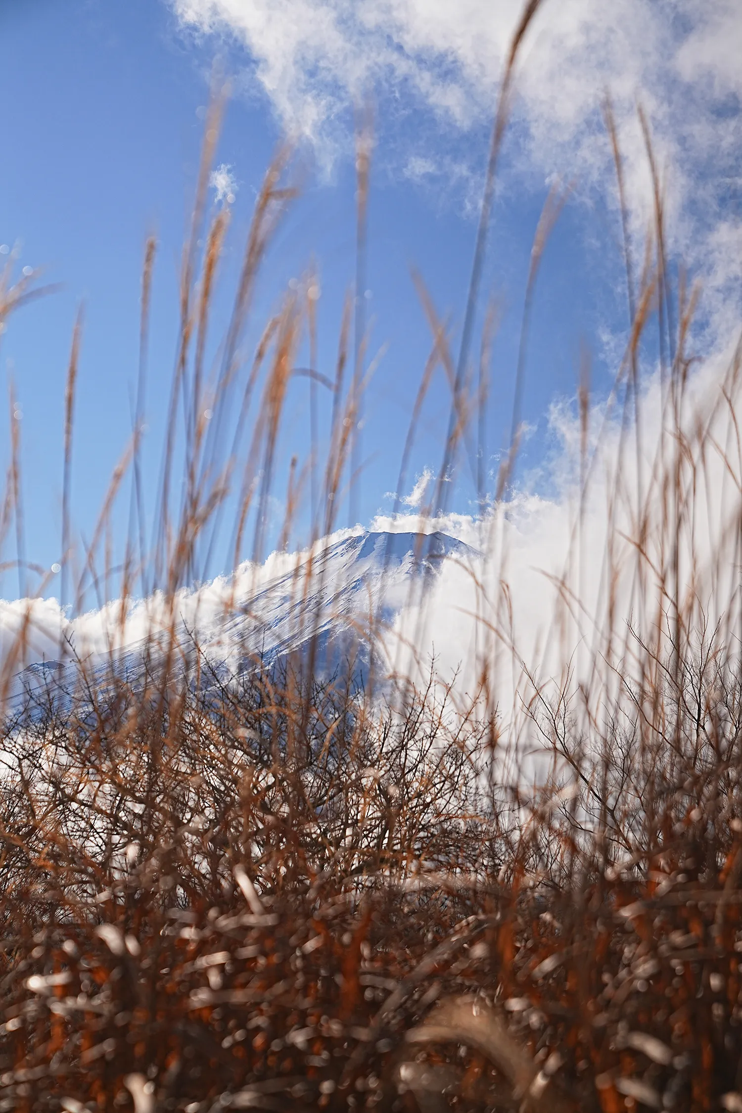 片道1時間で巨大な富士山！大平山を年末のんびりハイキング。