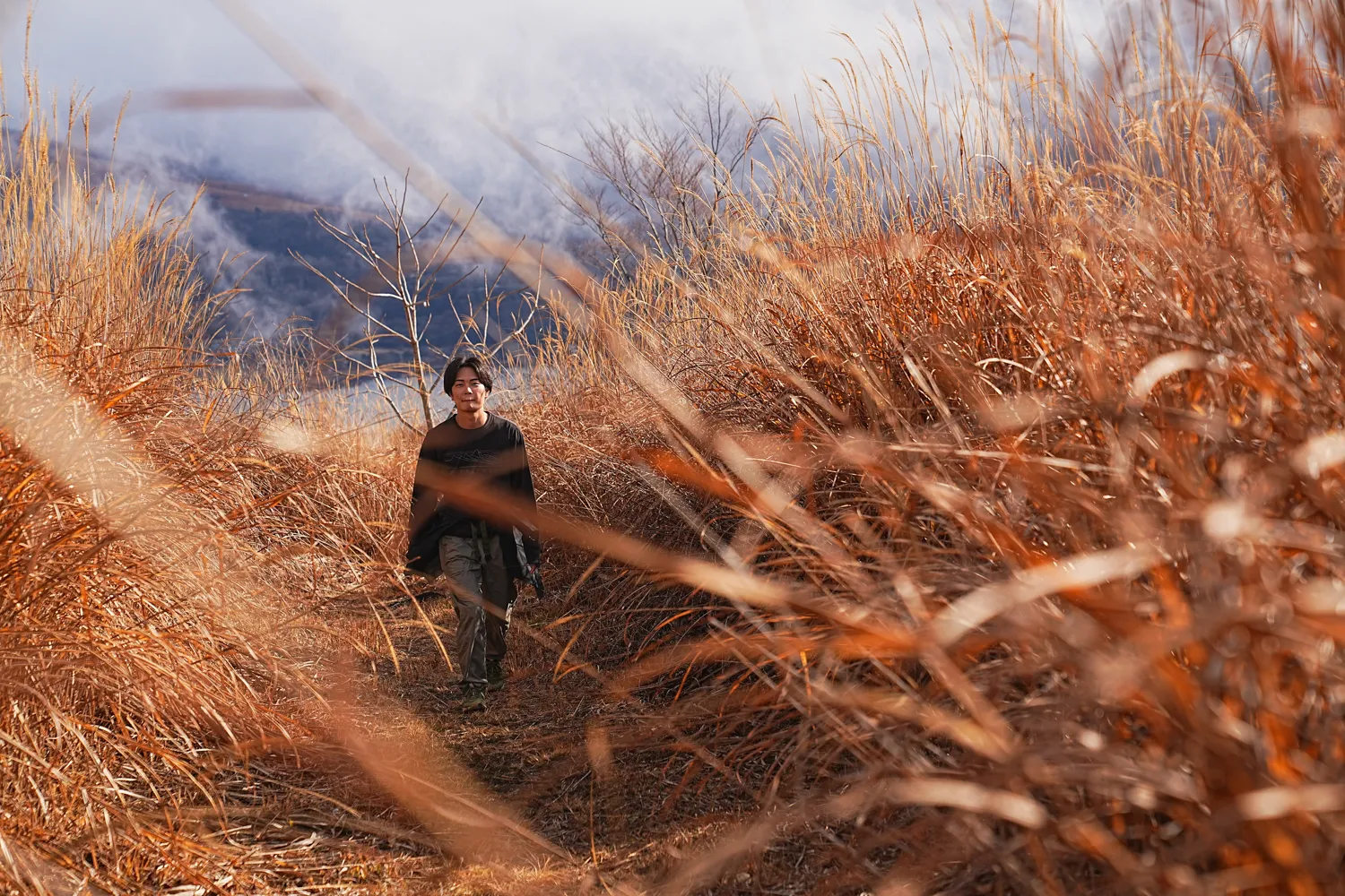 片道1時間で巨大な富士山！大平山を年末のんびりハイキング。