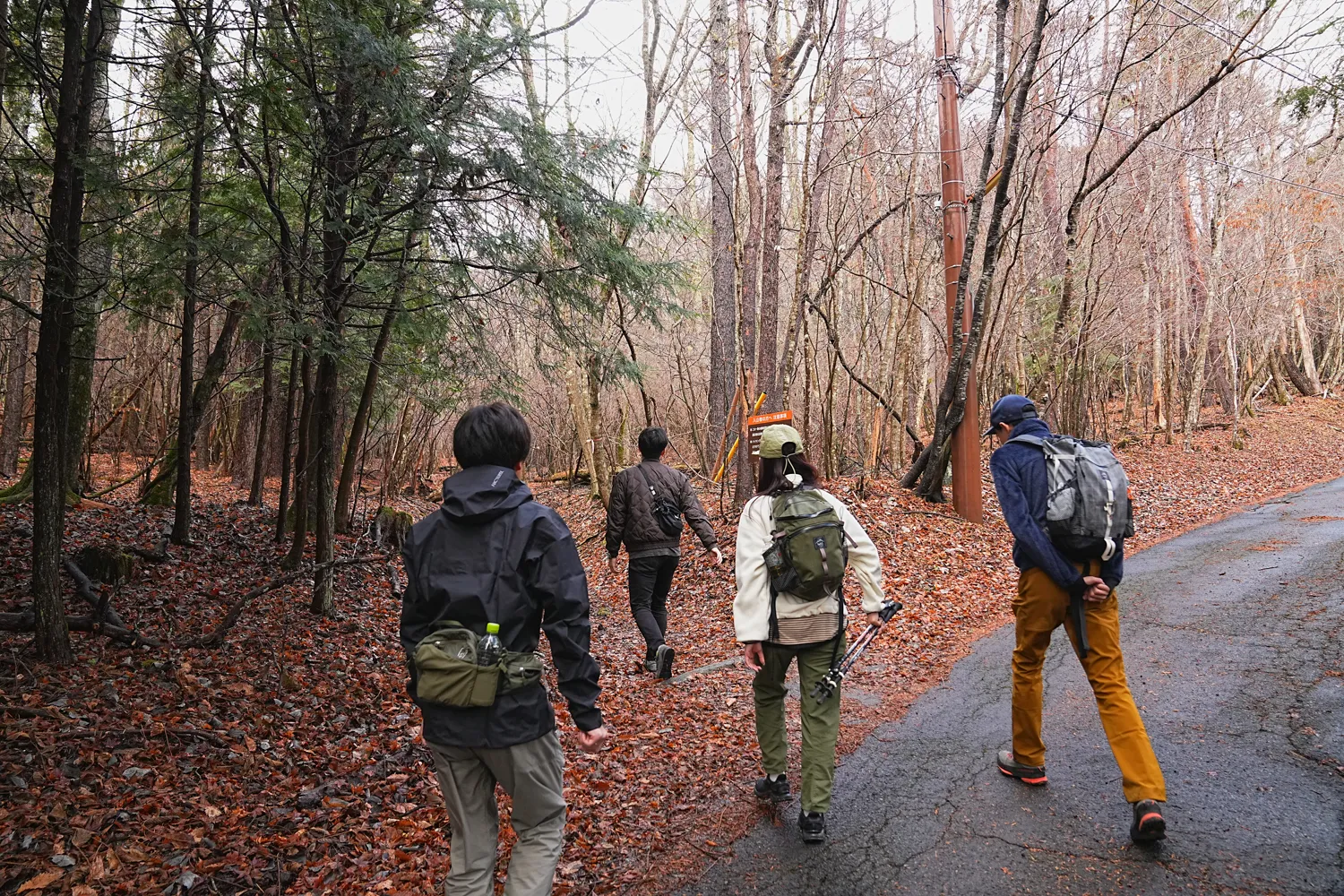 片道1時間で巨大な富士山！大平山を年末のんびりハイキング。