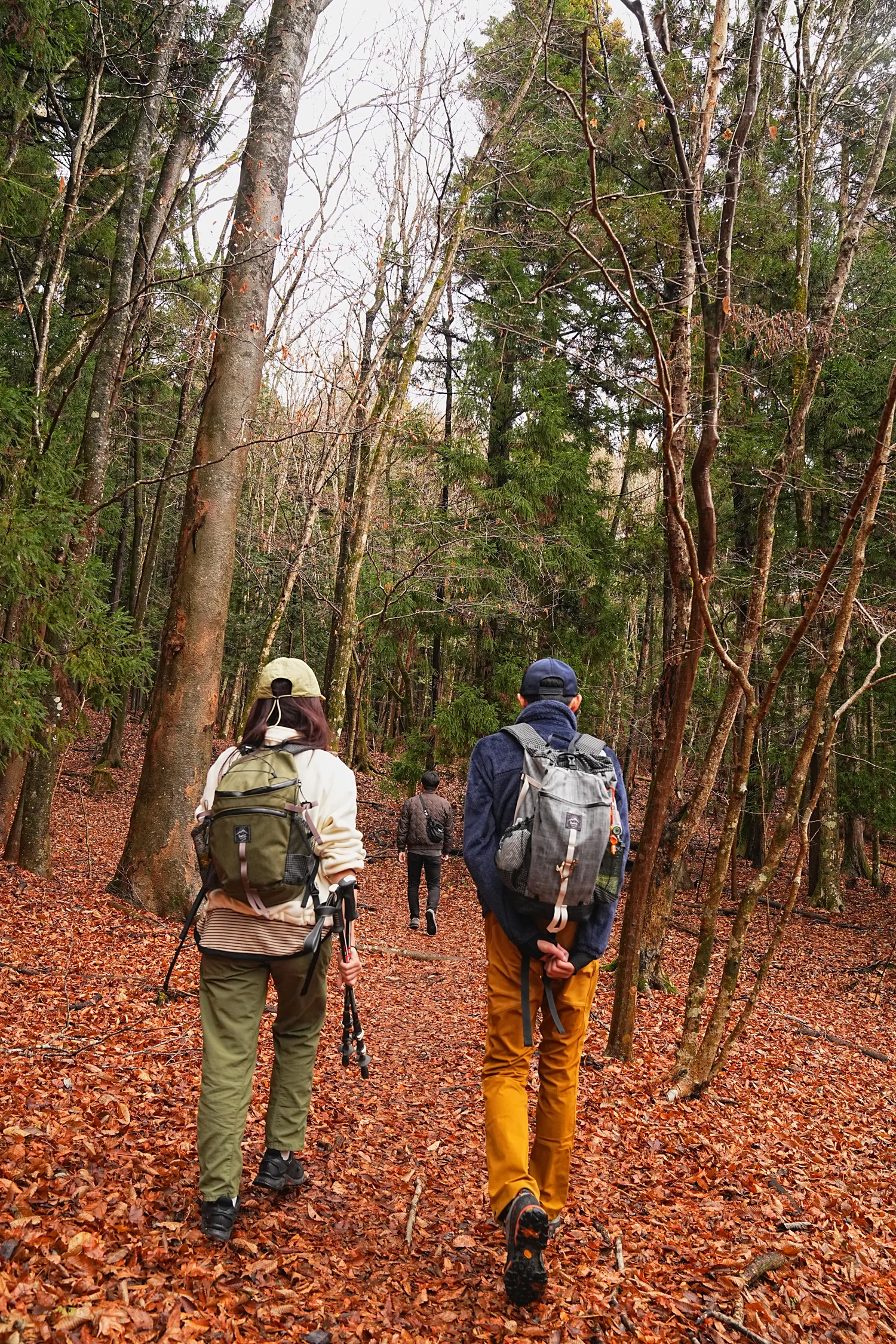片道1時間で巨大な富士山！大平山を年末のんびりハイキング。