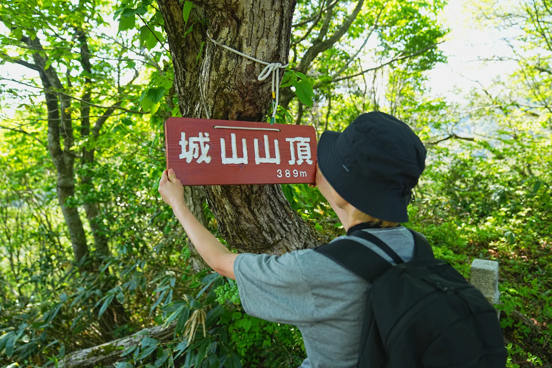 石川県小松市 奥城山 シャクナゲ満開レポート