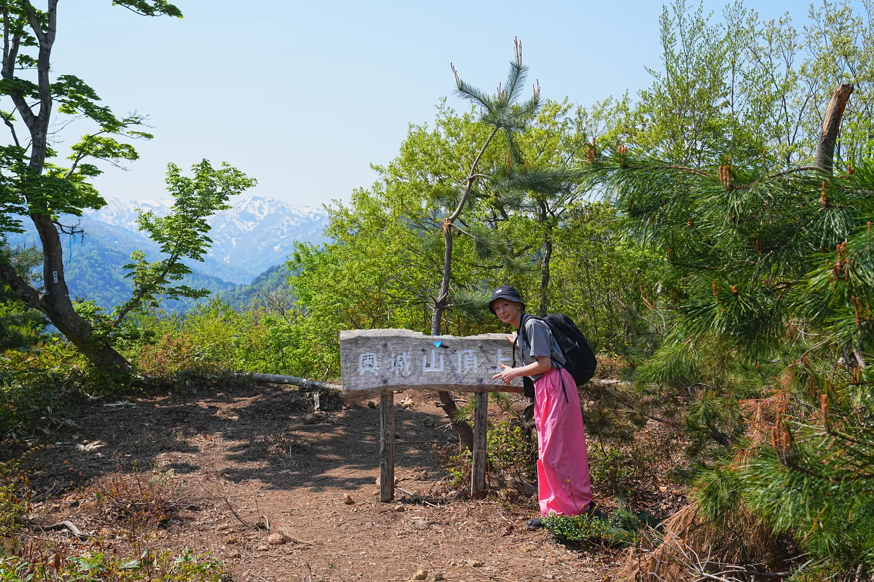 石川県小松市 奥城山 シャクナゲ満開レポート