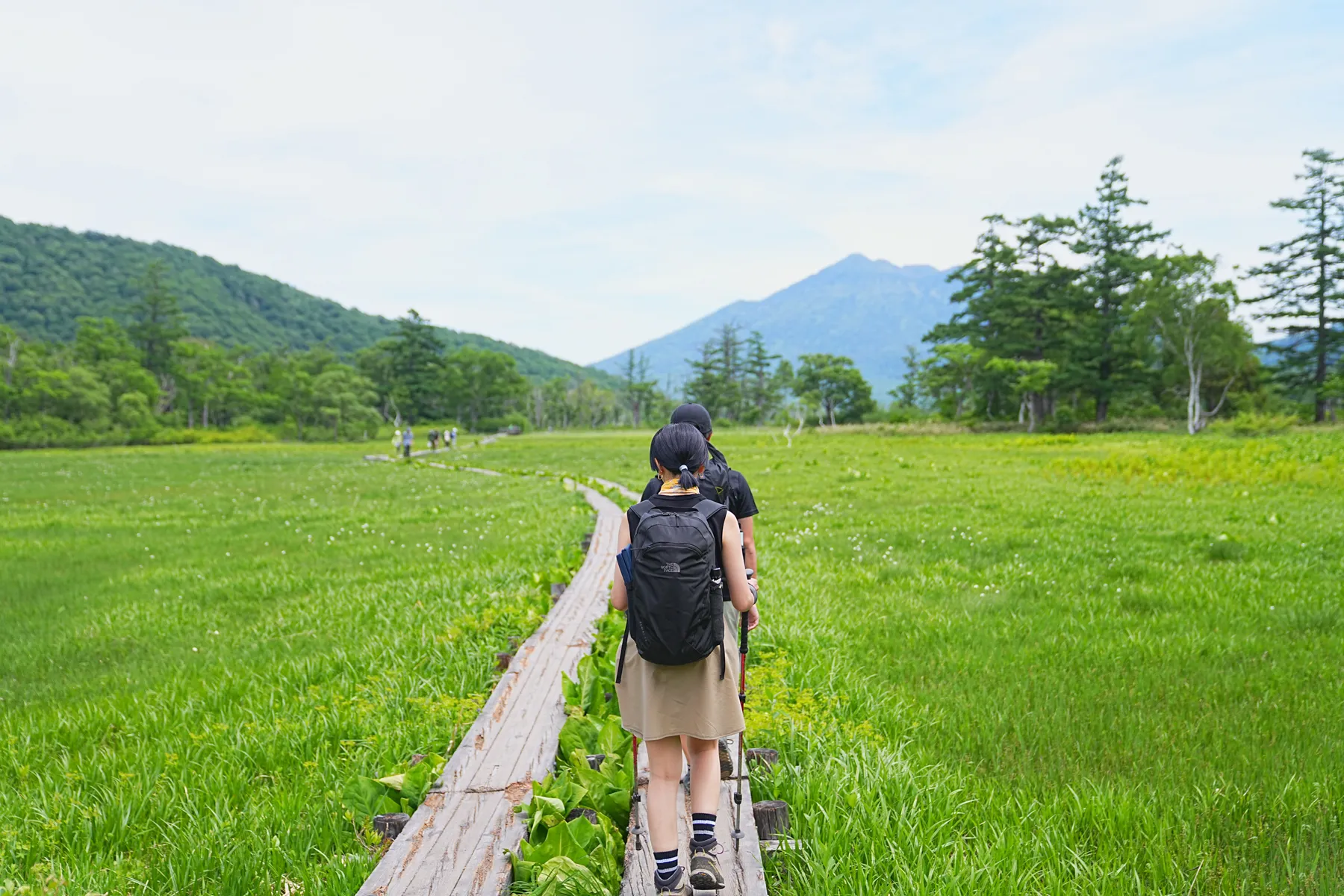 尾瀬・尾瀬小屋泊でお花ハイキング