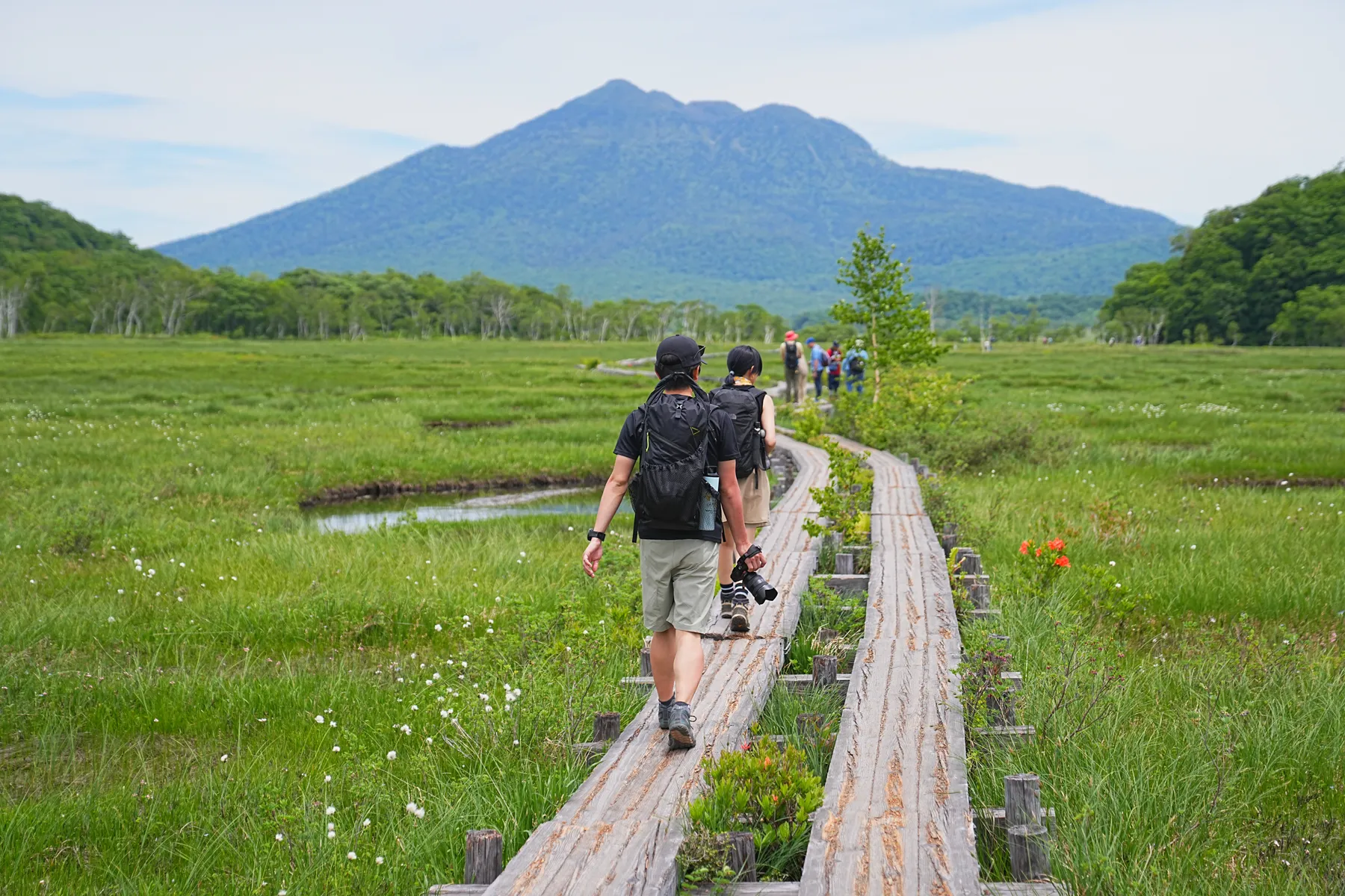 尾瀬・尾瀬小屋泊でお花ハイキング