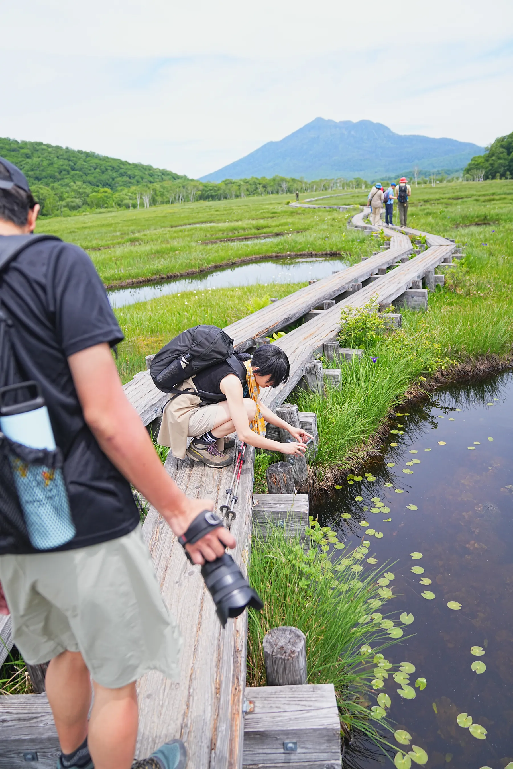 尾瀬・尾瀬小屋泊でお花ハイキング