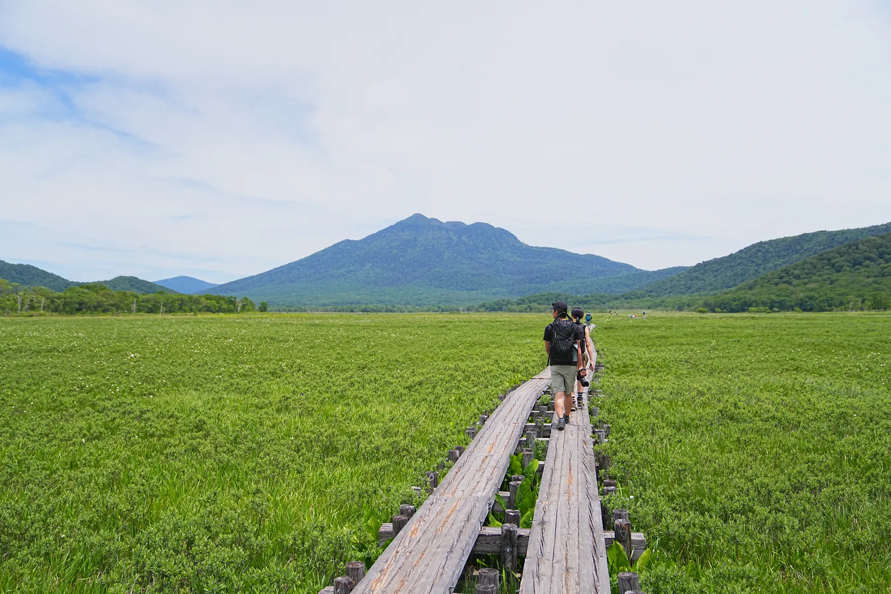 尾瀬・尾瀬小屋泊でお花ハイキング