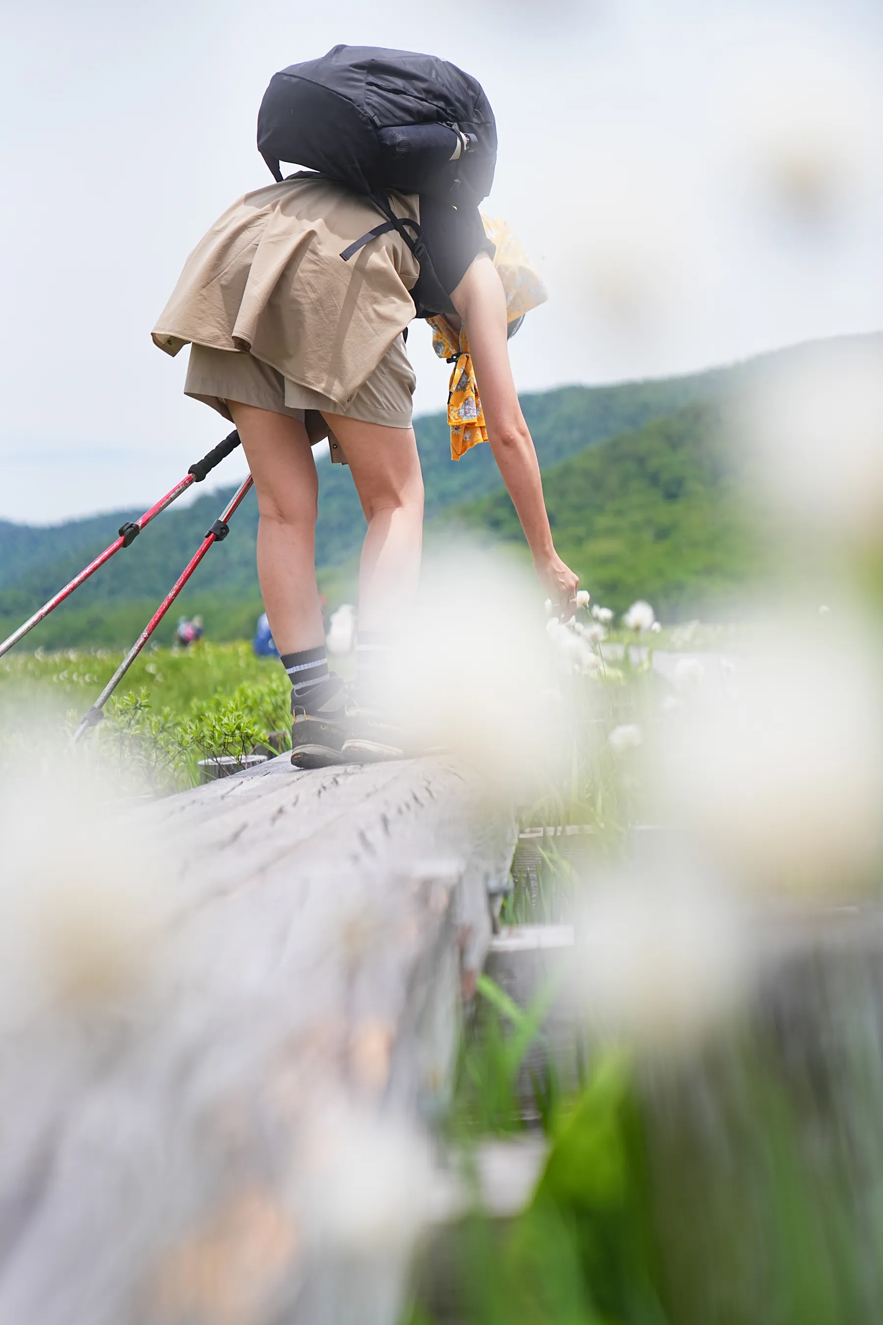 尾瀬・尾瀬小屋泊でお花ハイキング