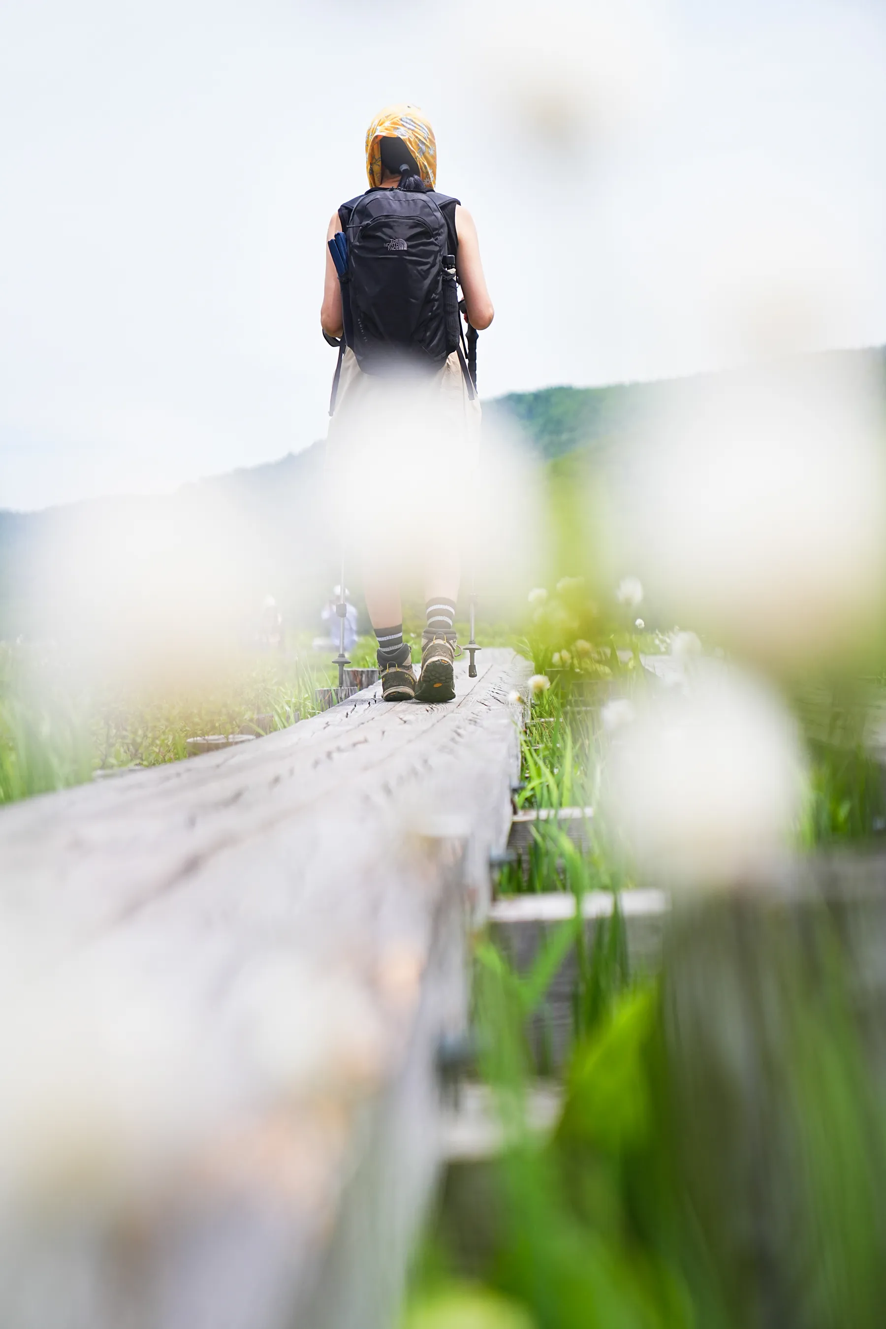 尾瀬・尾瀬小屋泊でお花ハイキング