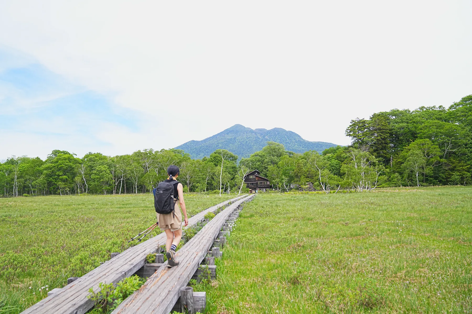 尾瀬・尾瀬小屋泊でお花ハイキング