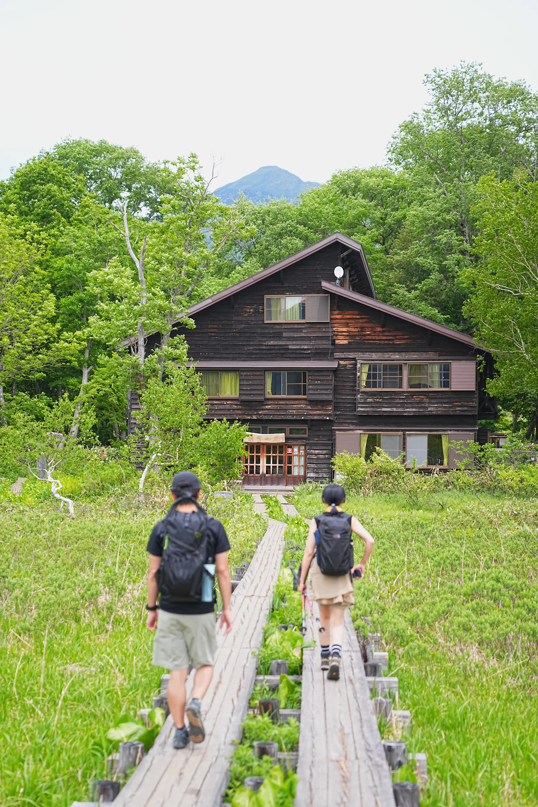 尾瀬・尾瀬小屋泊でお花ハイキング