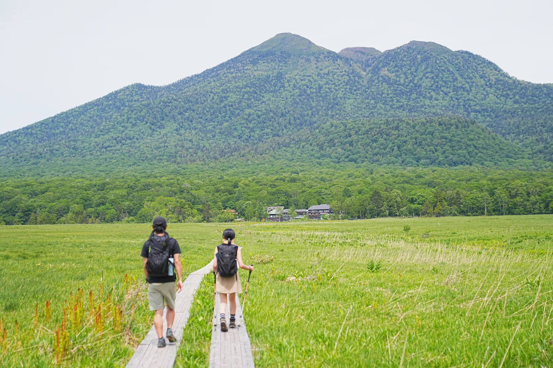 尾瀬・尾瀬小屋泊でお花ハイキング