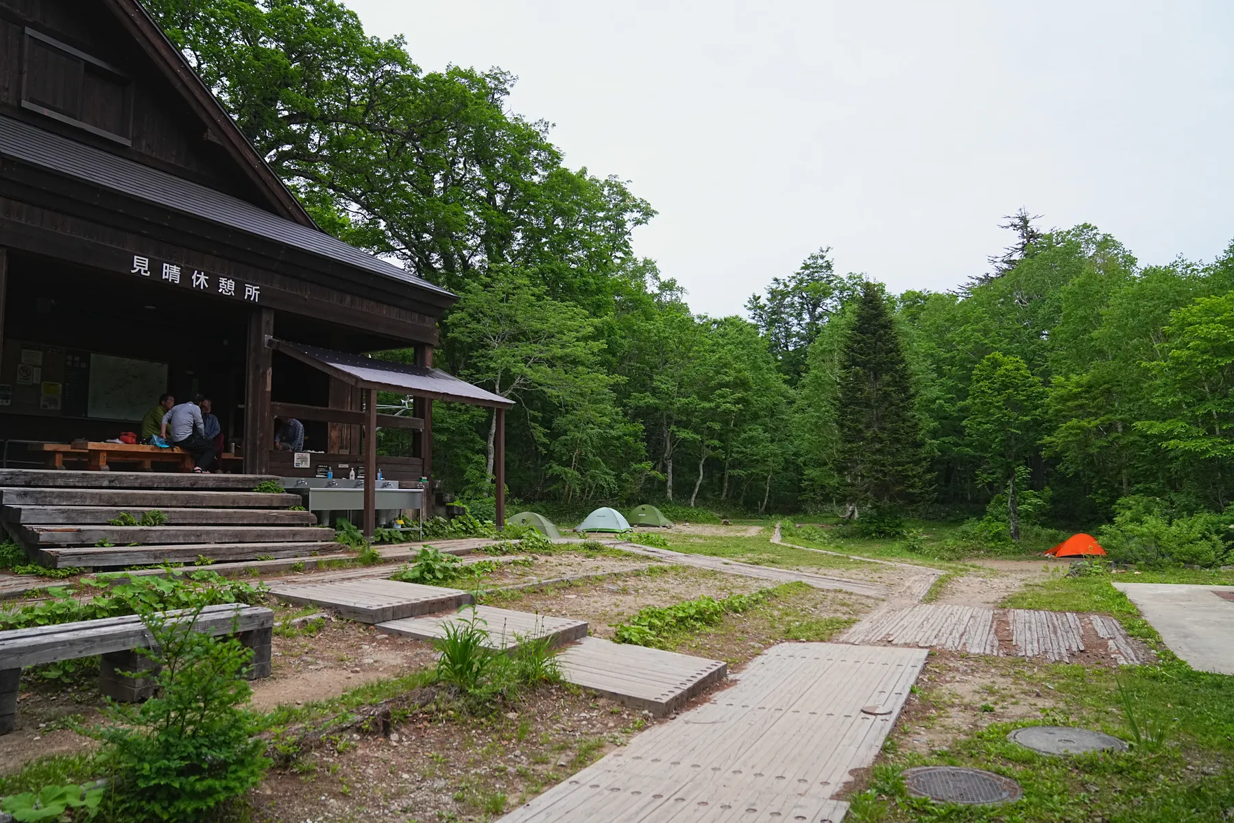 尾瀬・尾瀬小屋泊でお花ハイキング