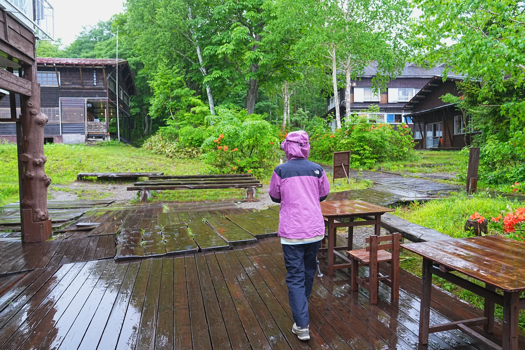 尾瀬・尾瀬小屋泊でお花ハイキング