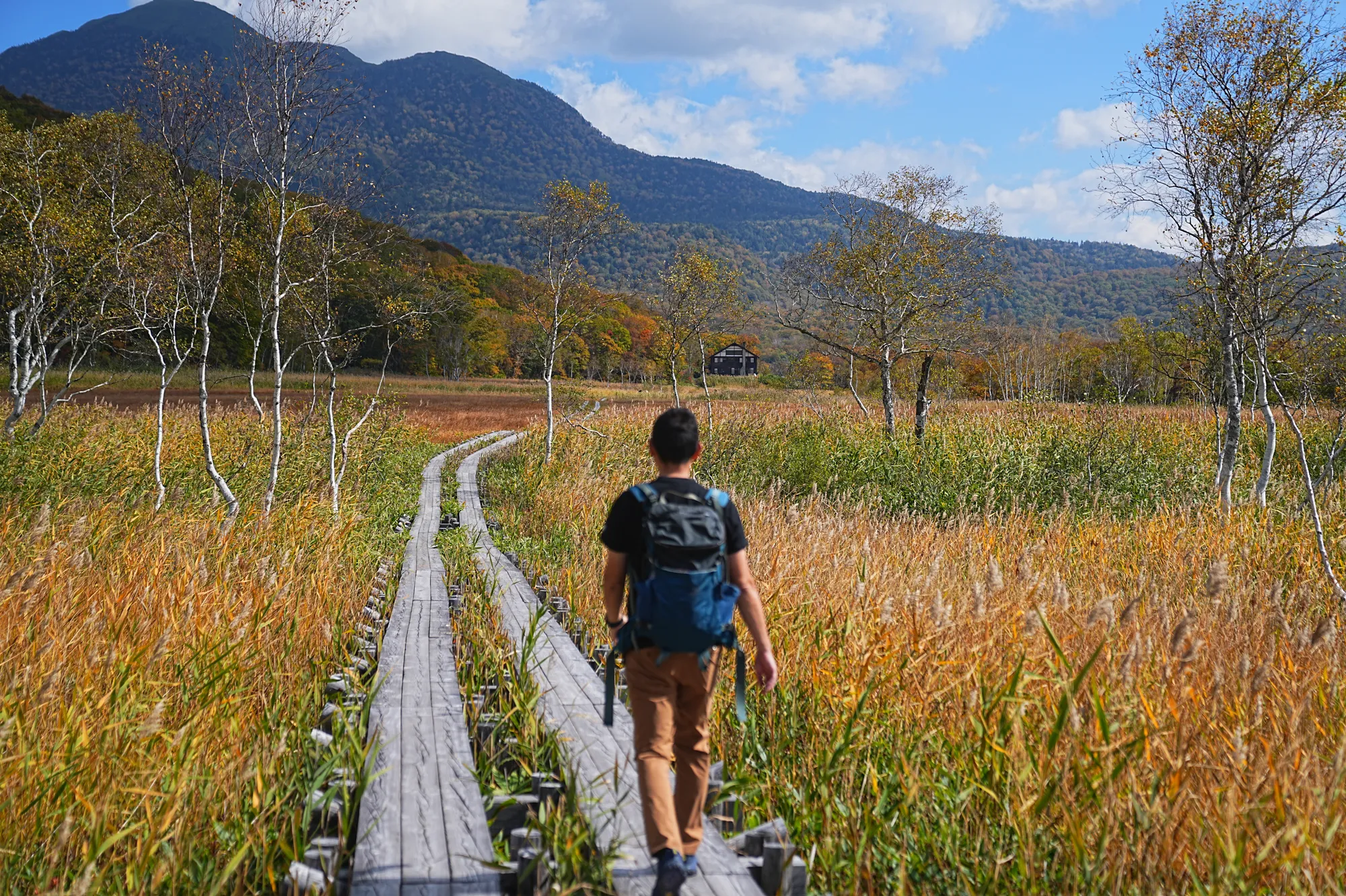 紅葉全開！草紅葉の尾瀬・尾瀬ヶ原を日帰りのんびりハイキング