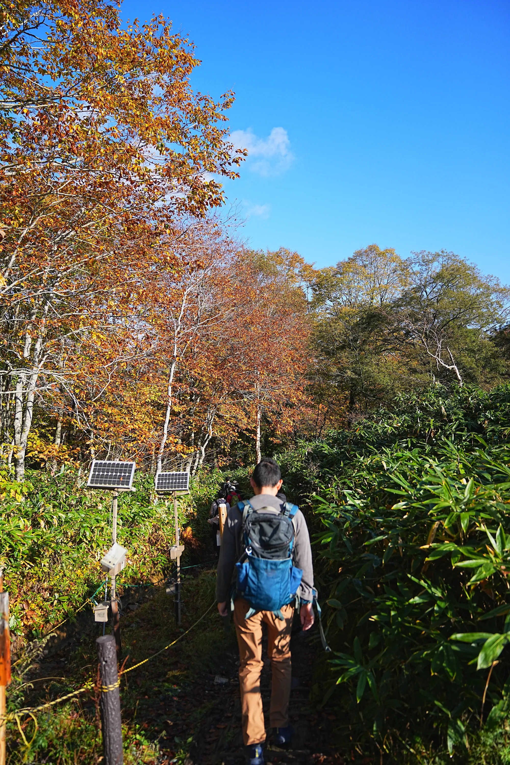 紅葉全開！草紅葉の尾瀬・尾瀬ヶ原を日帰りのんびりハイキング
