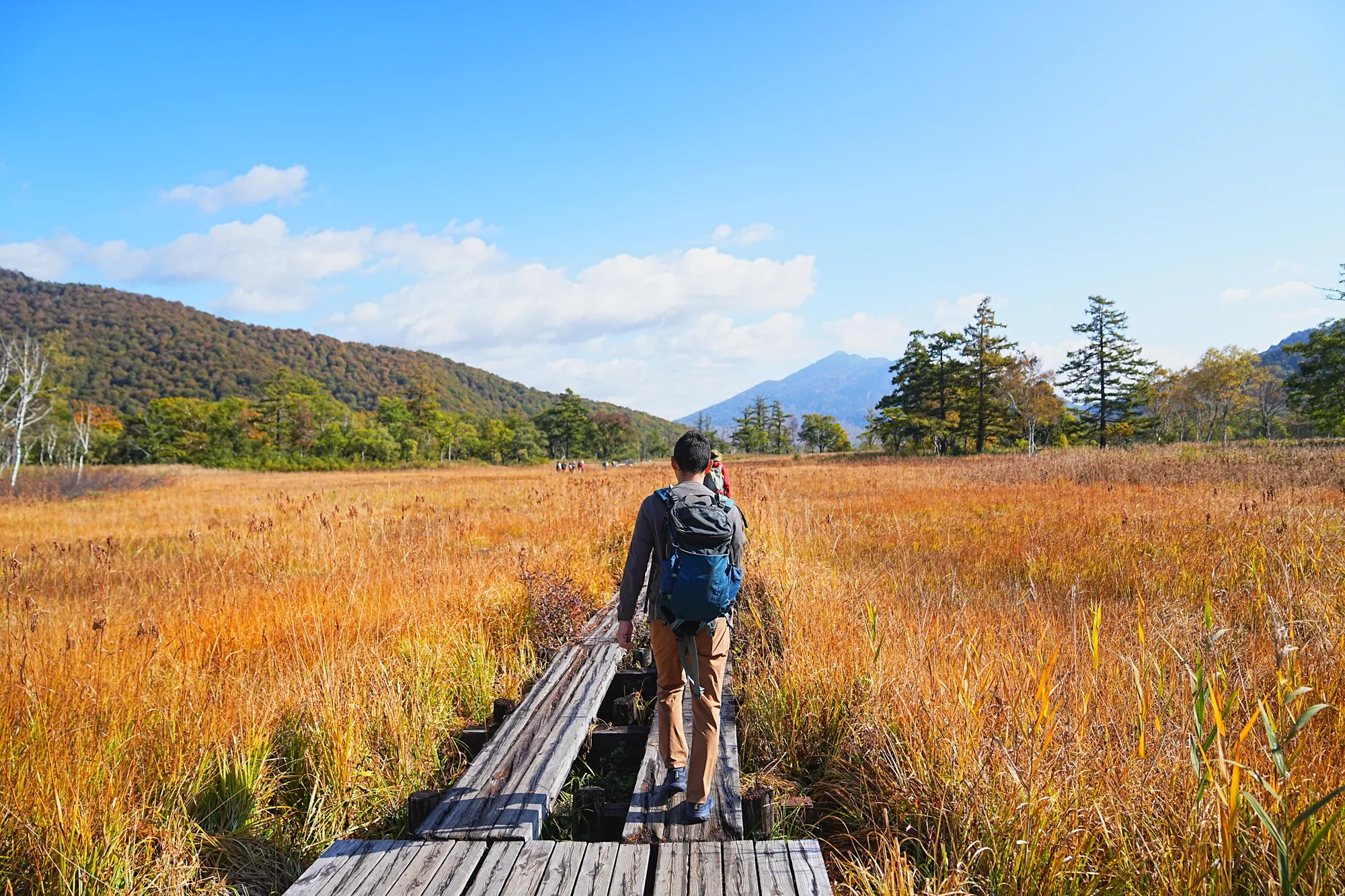 紅葉全開！草紅葉の尾瀬・尾瀬ヶ原を日帰りのんびりハイキング