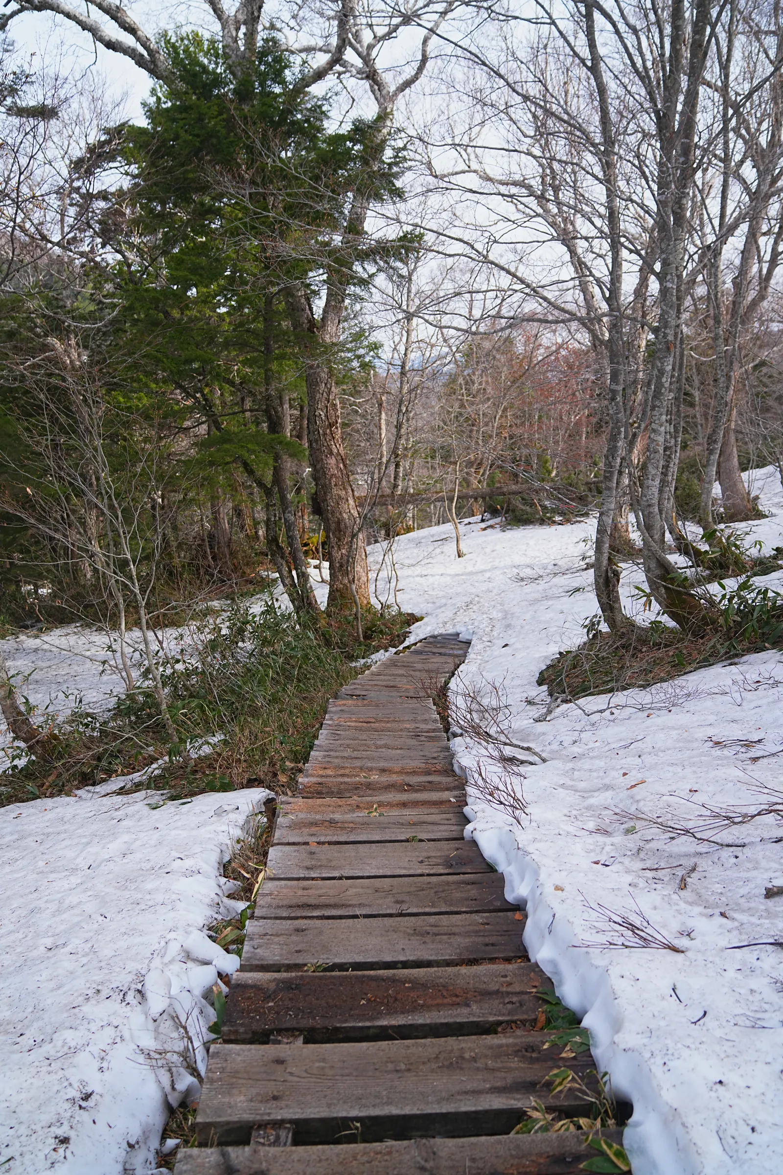 残雪の尾瀬・尾瀬小屋