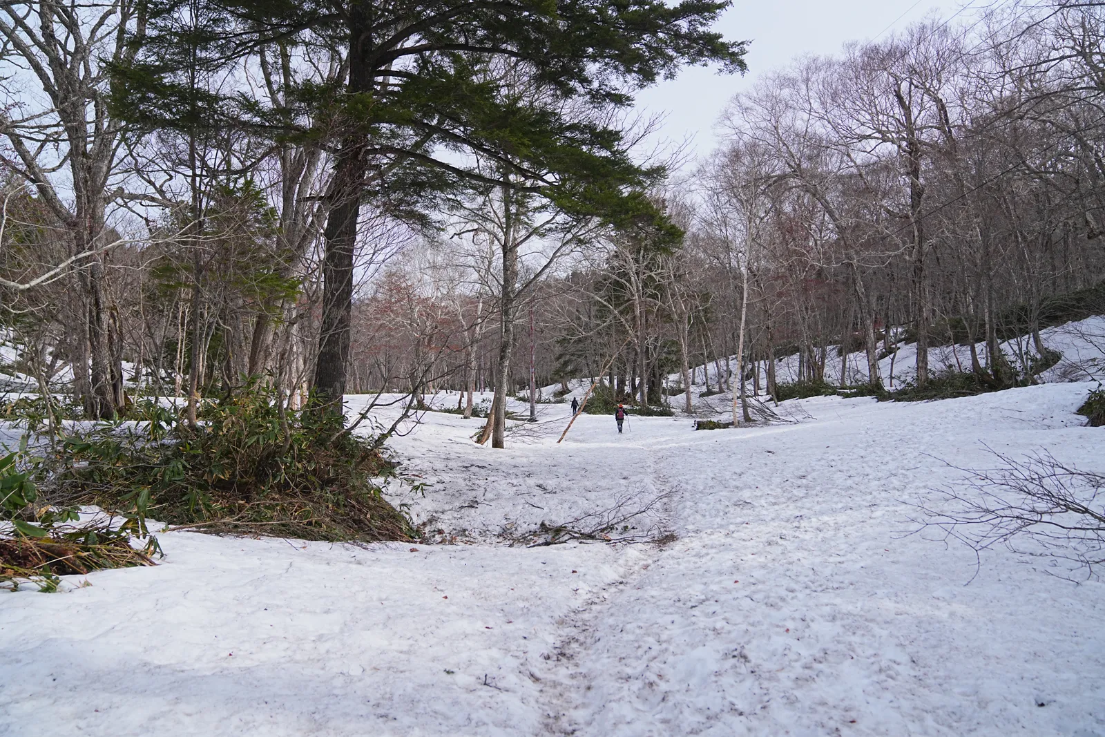 残雪の尾瀬・尾瀬小屋