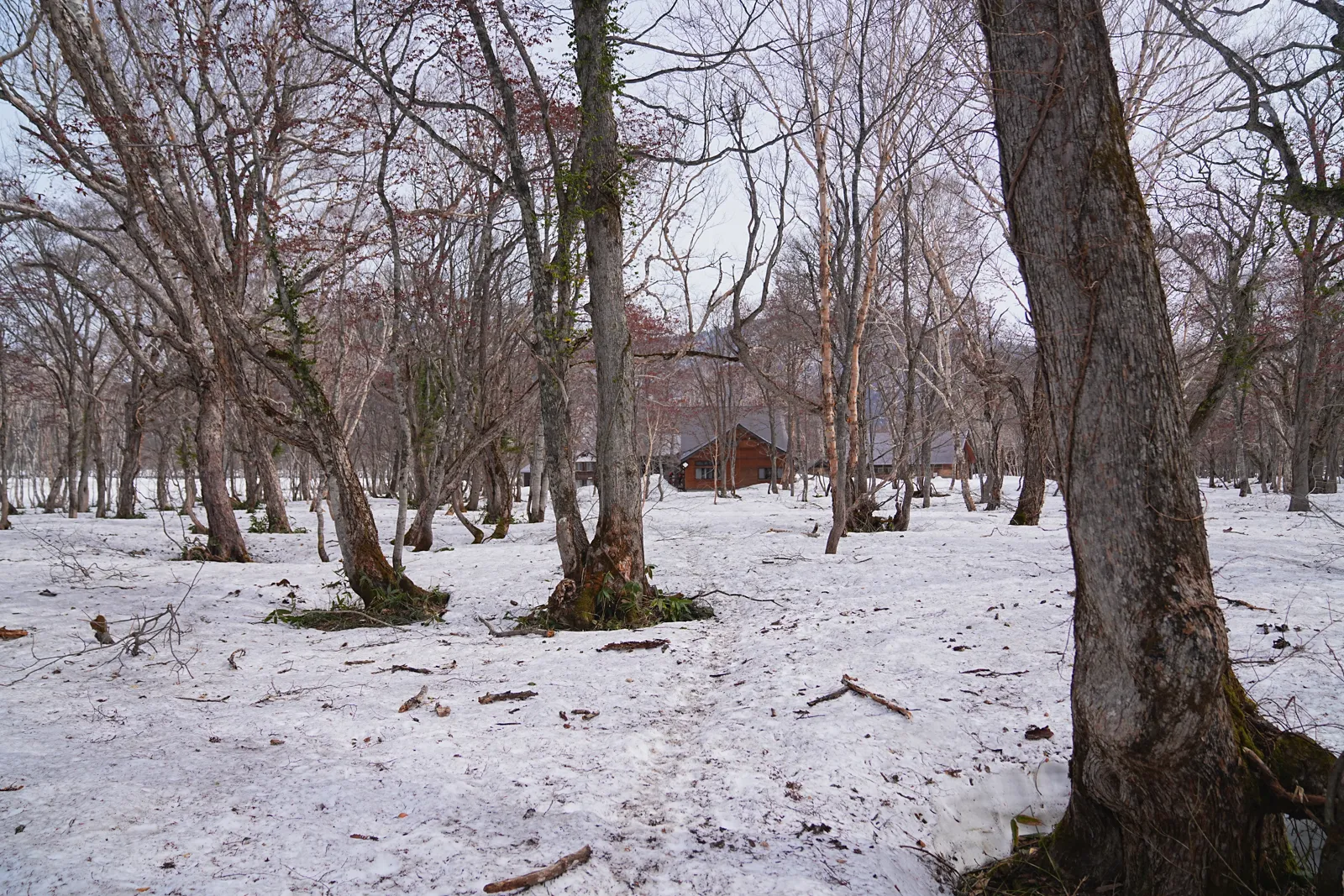 残雪の尾瀬・尾瀬小屋