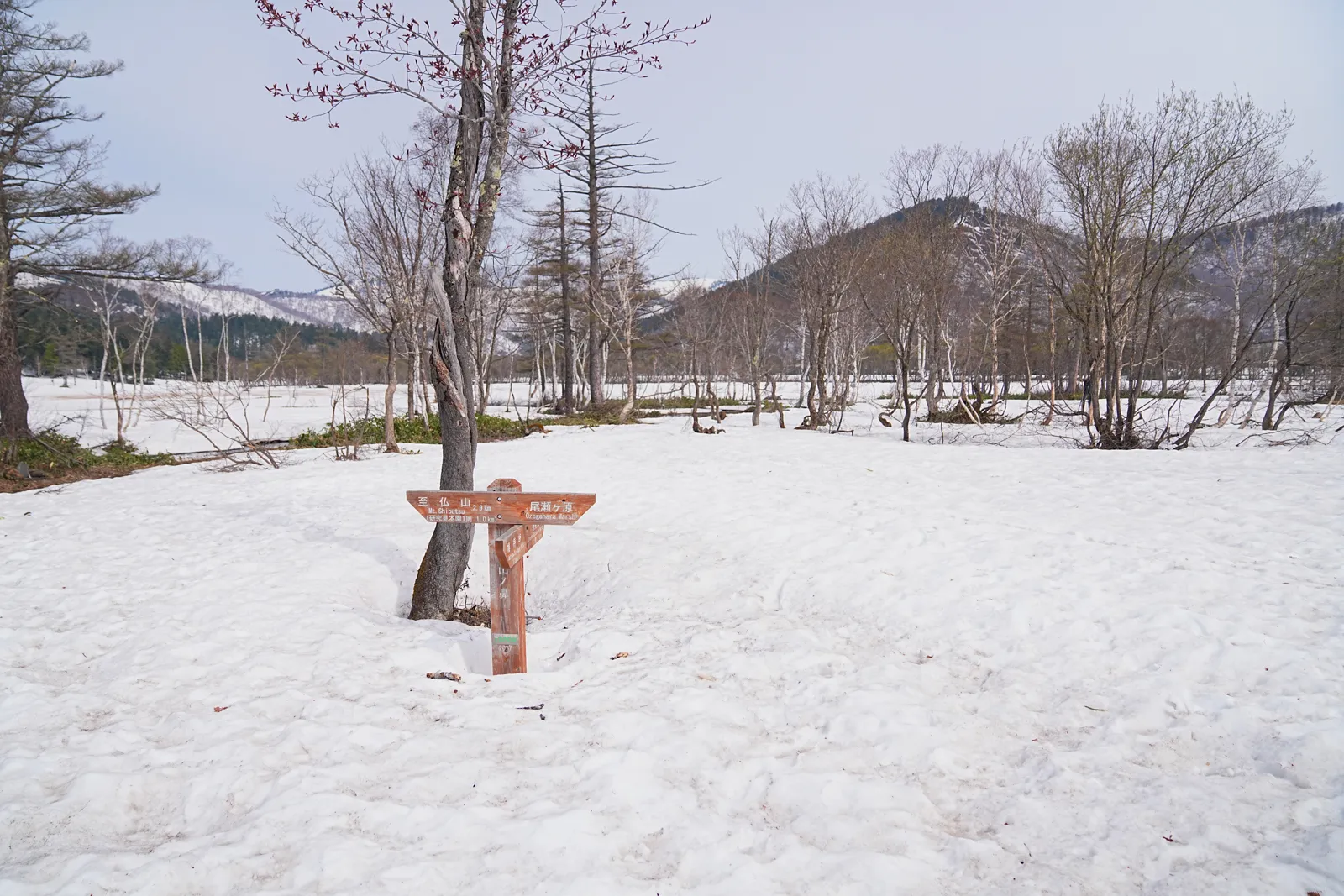 残雪の尾瀬・尾瀬小屋