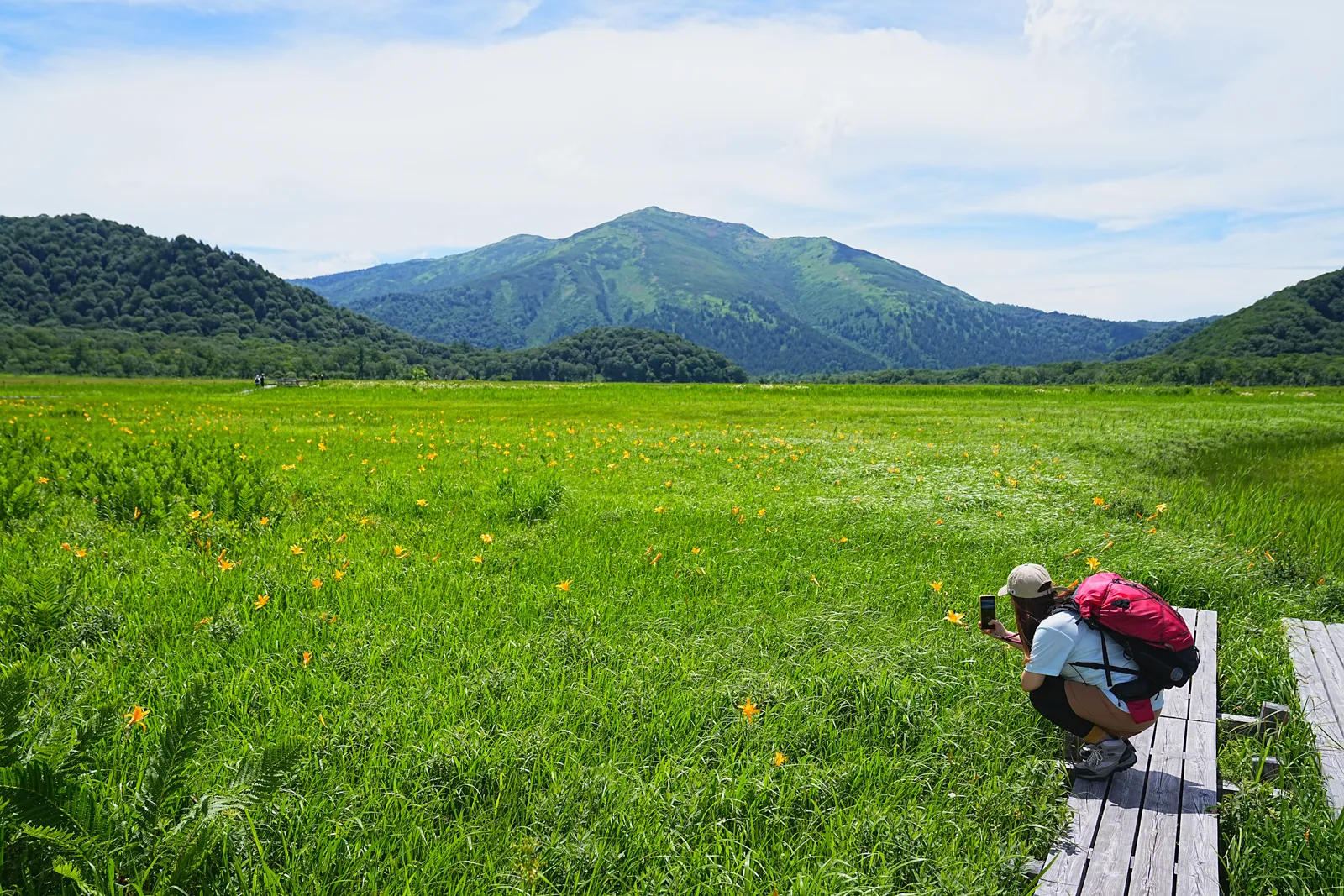 ニッコウキスゲが見頃！夏の尾瀬ハイキング。