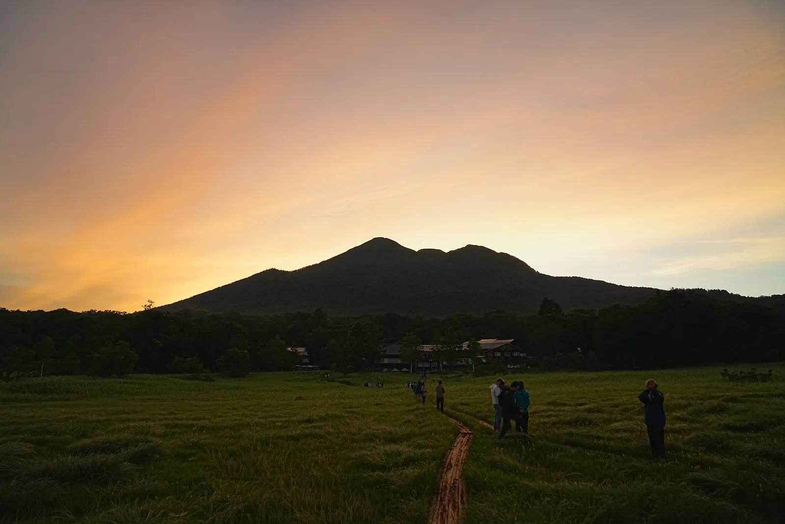 ニッコウキスゲが見頃！夏の尾瀬ハイキング。